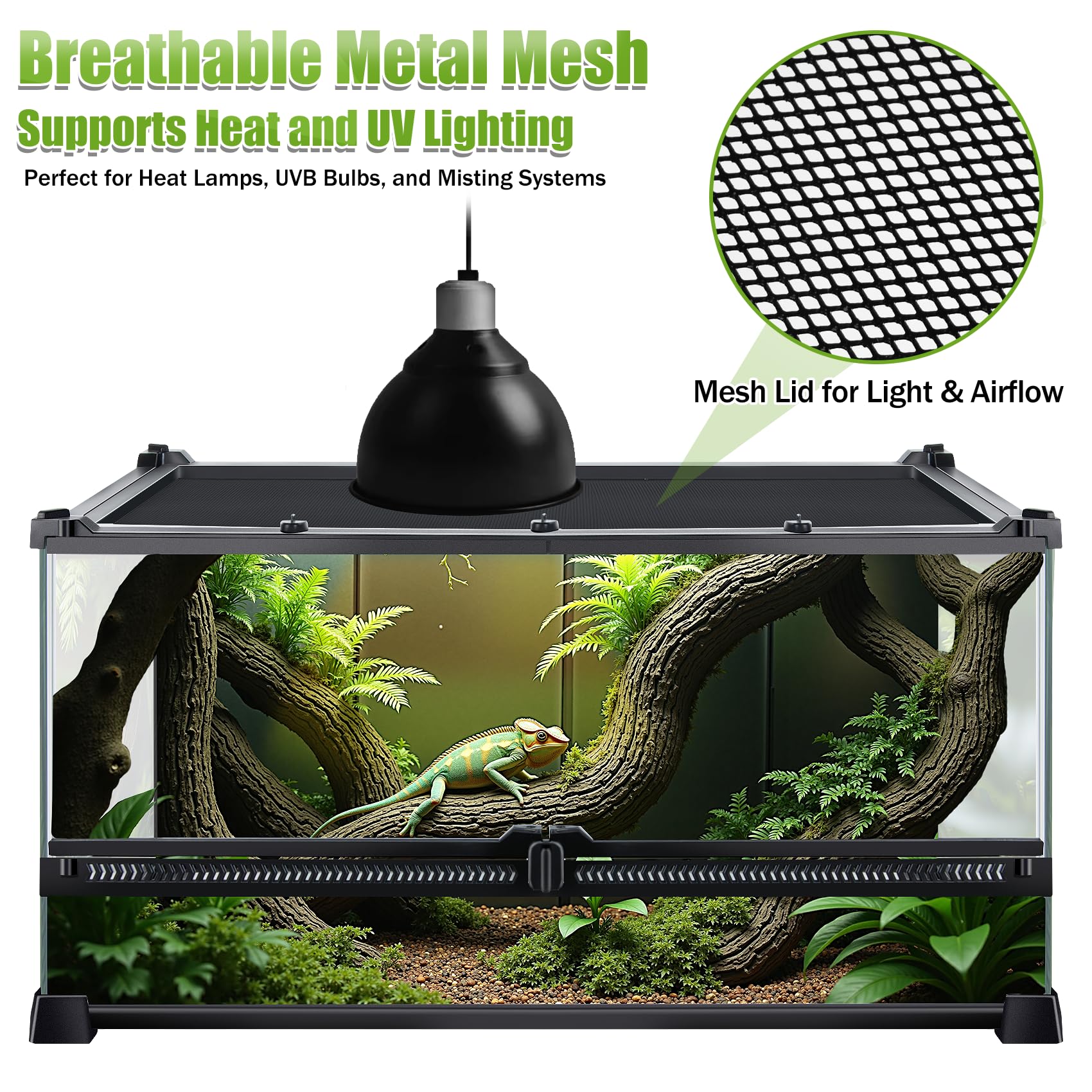 Terrario per rettili, 50,8 x 30,5 x 25,4 cm, contenitore in vetro per piccoli rettili, gechi, rane, lucertole, serpenti, ragni, tartarughe, habitat per terrari della foresta pluviale