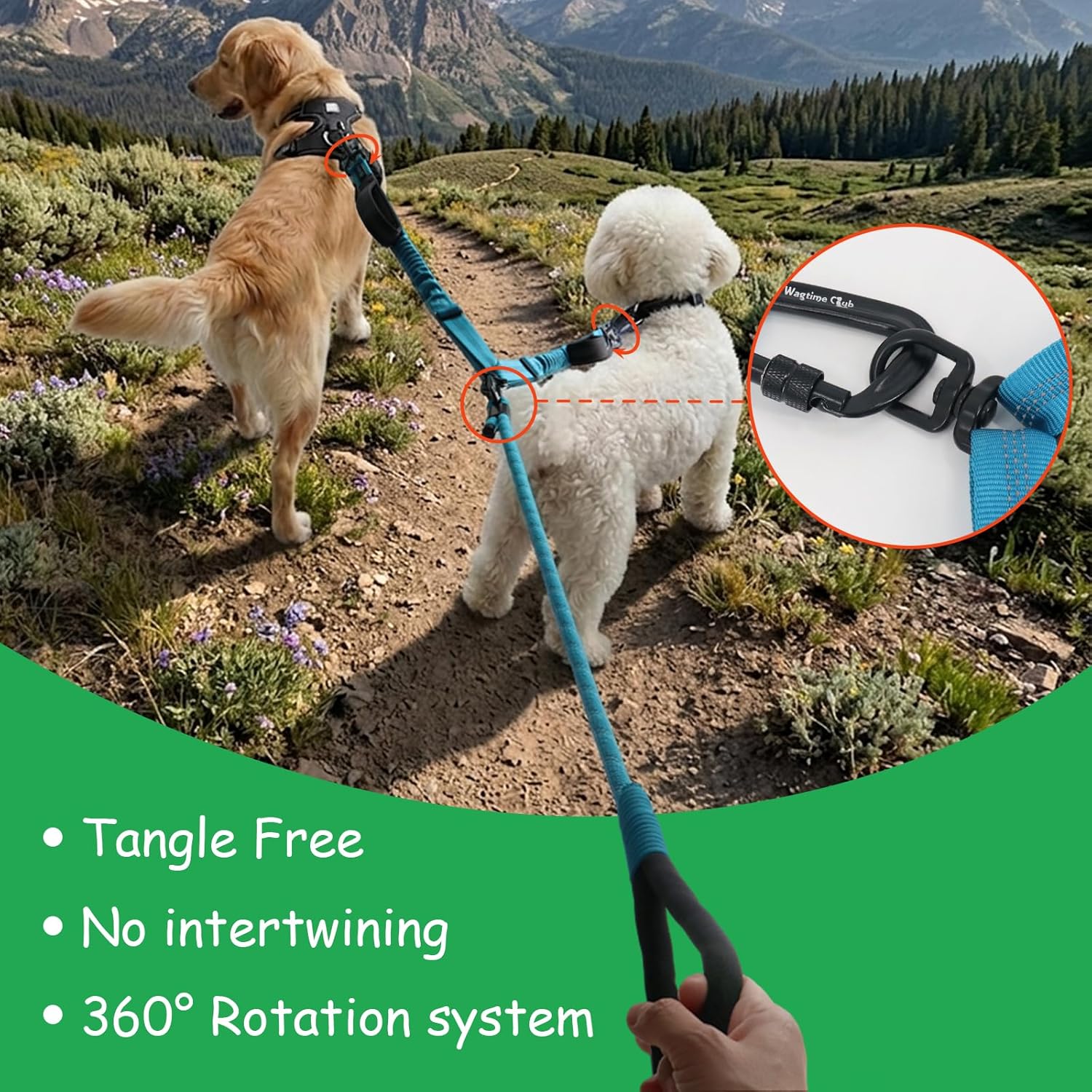 Double Dog Leash No Tangle – Dual Dog Leash for 2 Dogs with Shock Absorbing Bungee, 360° Swivel, Reflective Safety, Heavy Duty for Medium & Large Dogs (Bright Blue)