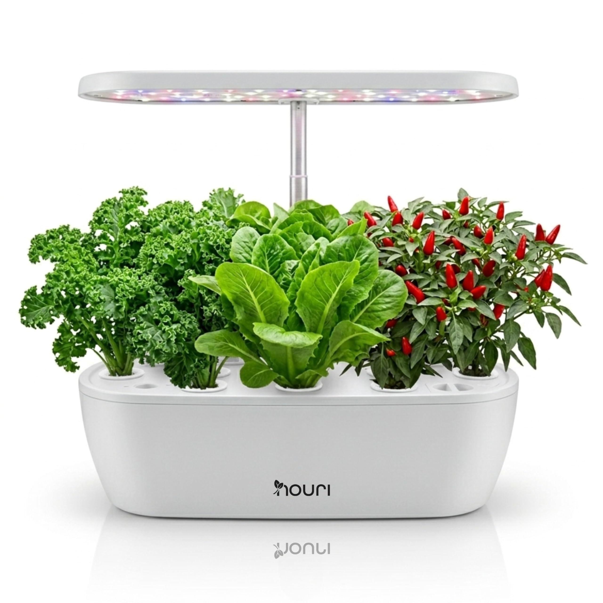 Nouri Hydroponics Growing System, 12 pod Smart Indoor Herb Garden Kit with LED Grow Lights, Hydroponic Herb Garden Indoor for Plant Lovers, Gardeners, Kitchen, Tomato Seeds Included