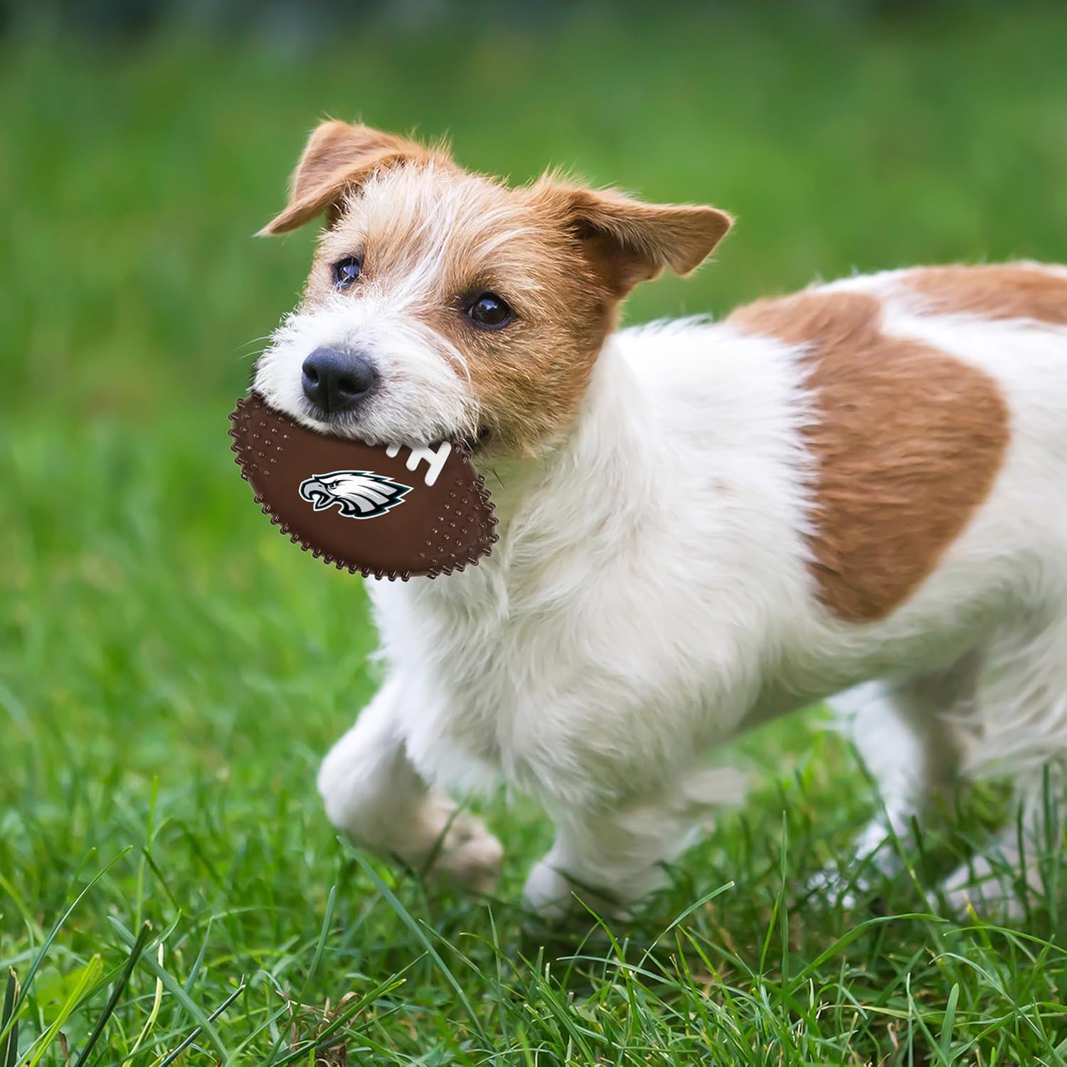 NFL Philadelphia Eagles Mega-chew Hard Nylon Bacon-flavored Dog Bone Football Chew Toy. Interactive, Durable Tasty Fun for Aggressive Chewers