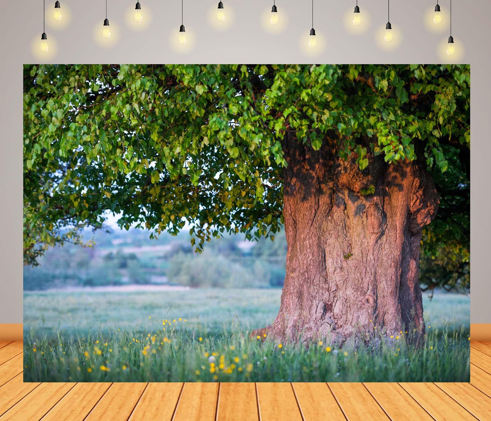 BELECO 3.6x2.5m Telo sfondo vecchio tiglio | Grande chioma albero foglie verdi rigogliose tronco spesso prato estivo sfondo picnic esterni foto