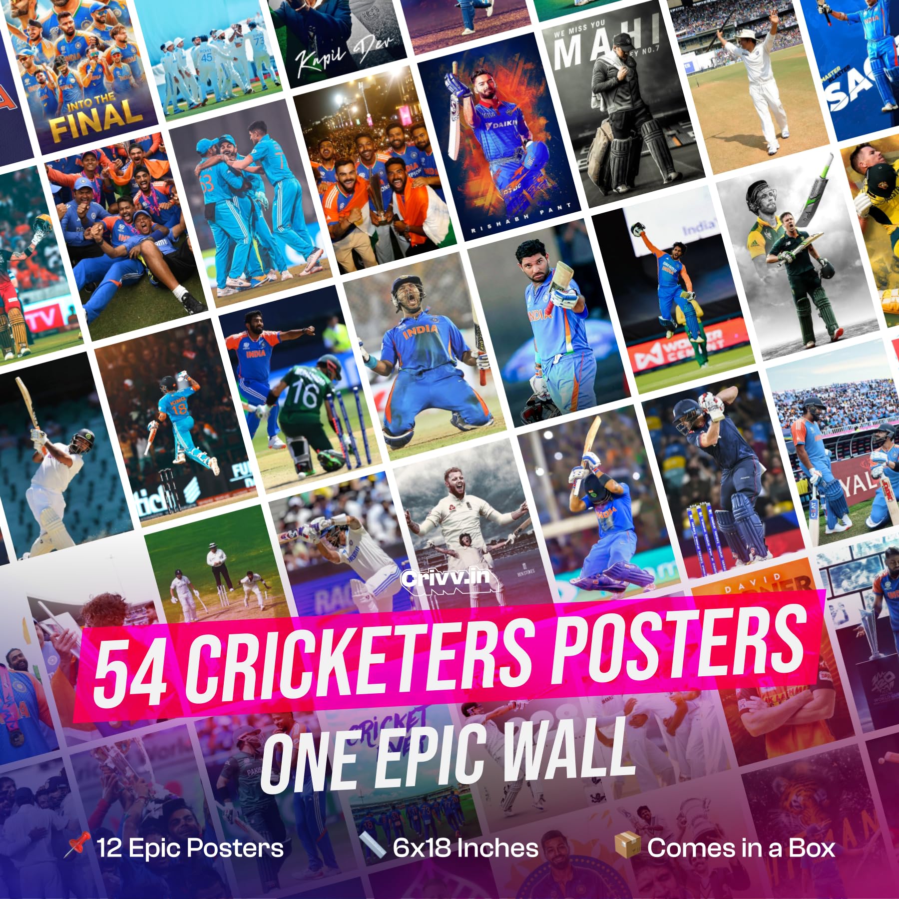 indian cricket fans celebrating victory stadium