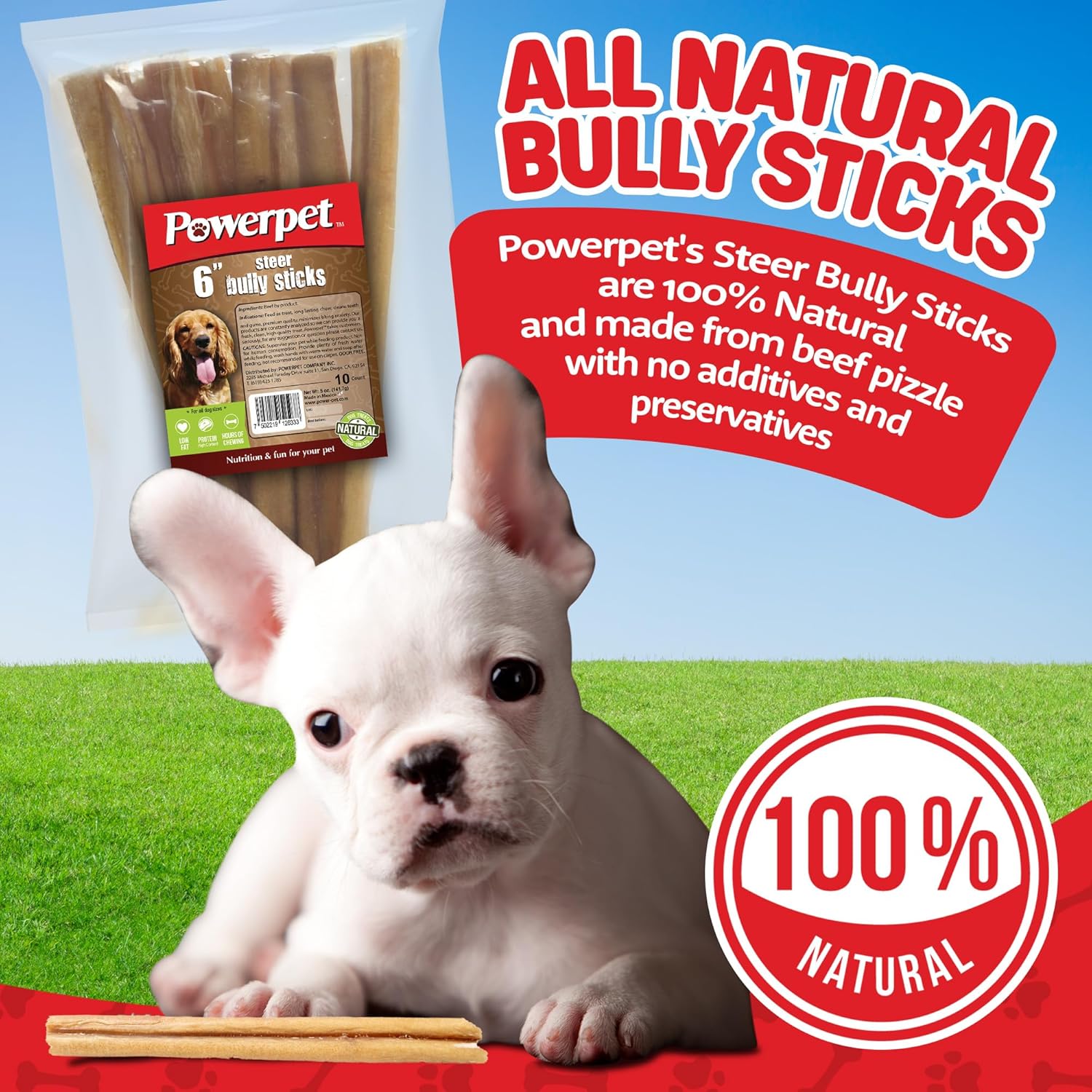 Powerpet 100% Natural Steer Stick - High Protein Bully Stick, Low Fat, Healthy Dog Treats, Long-Lasting Dog Chews, Easily Digestible, Cleans Teeth, Low Odor, for All Breeds & Sizes, 6" - 10 Count