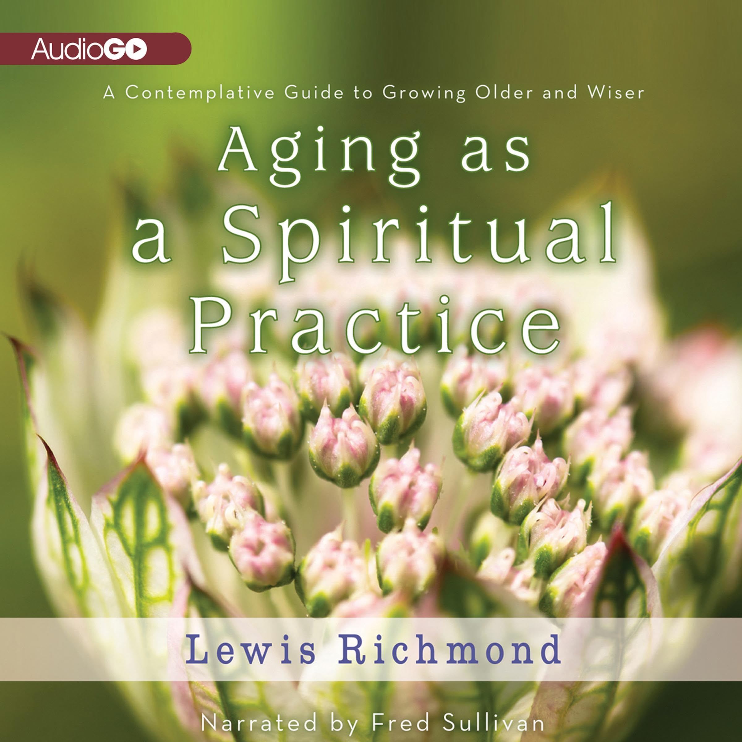 Cover art for Aging as a Spiritual Practice