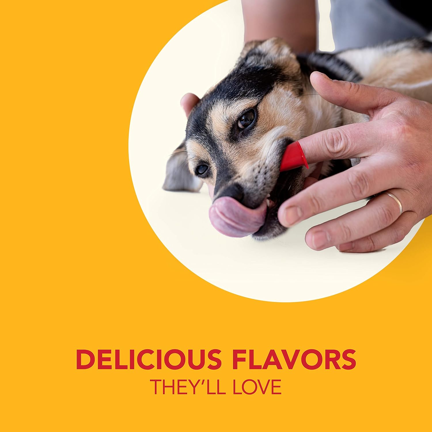 sentry enzymatic dog toothpaste