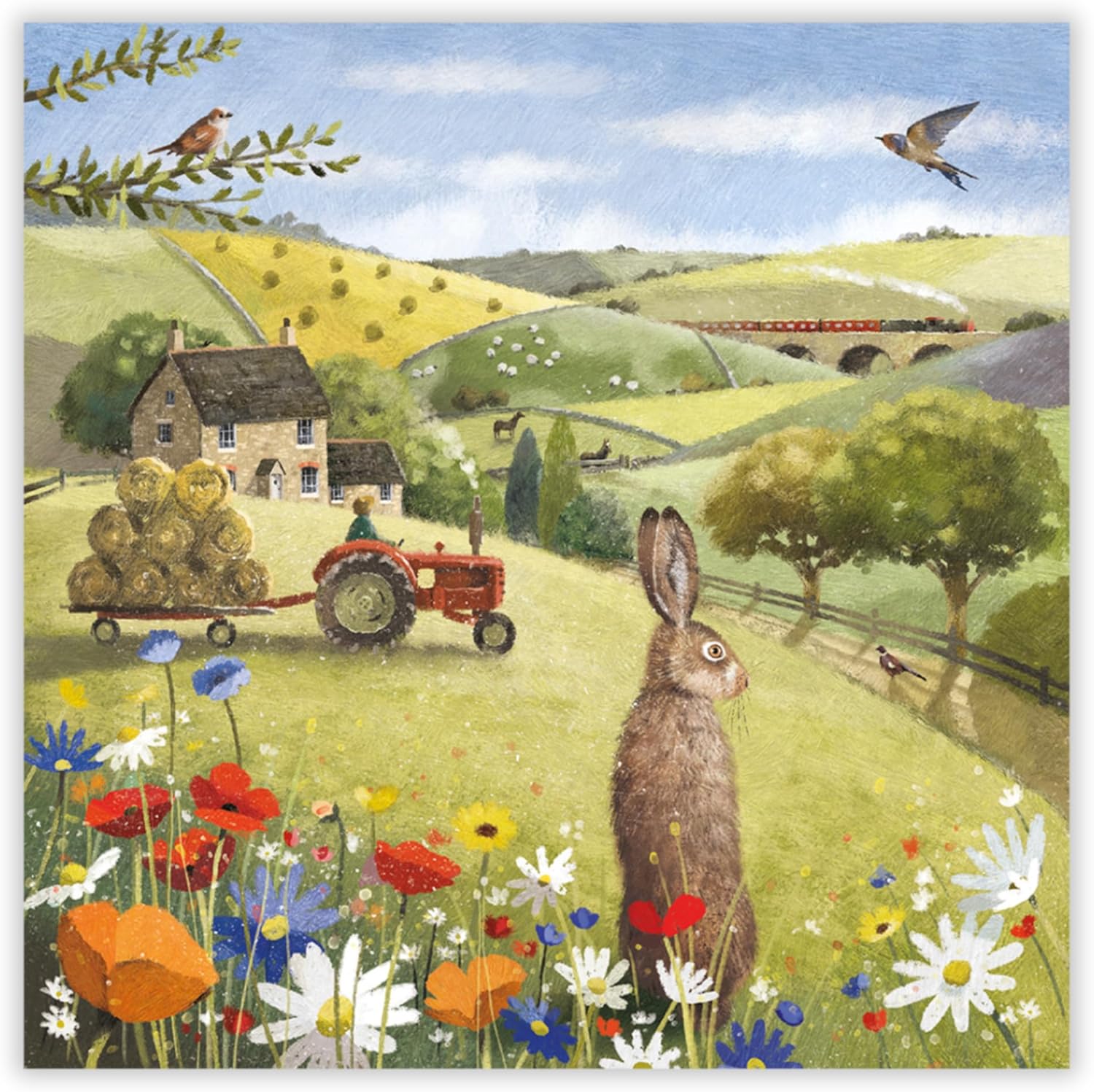 Noel Tatt 6 Pack Blank Cards For All Occasions - Hare And Countryside