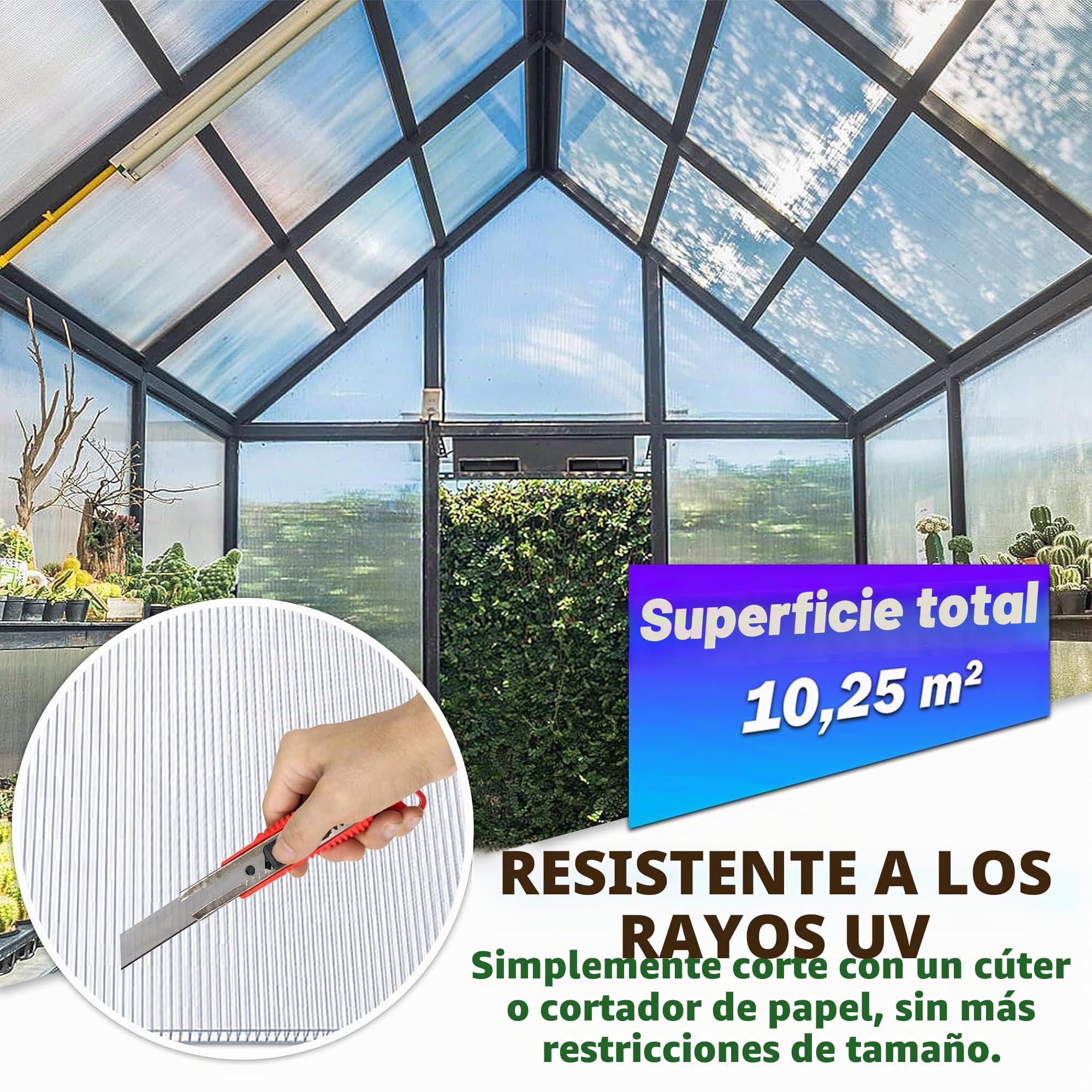 Froadp 14 Piezas Láminas de Policarbonato Celular Plástico Resistente UV-Rayos Accesorios de Doble Ranura para Plantas Cultivos Sistemas de Carpas de Invernadero de Jardín(605x1210x4mm, Transparente)