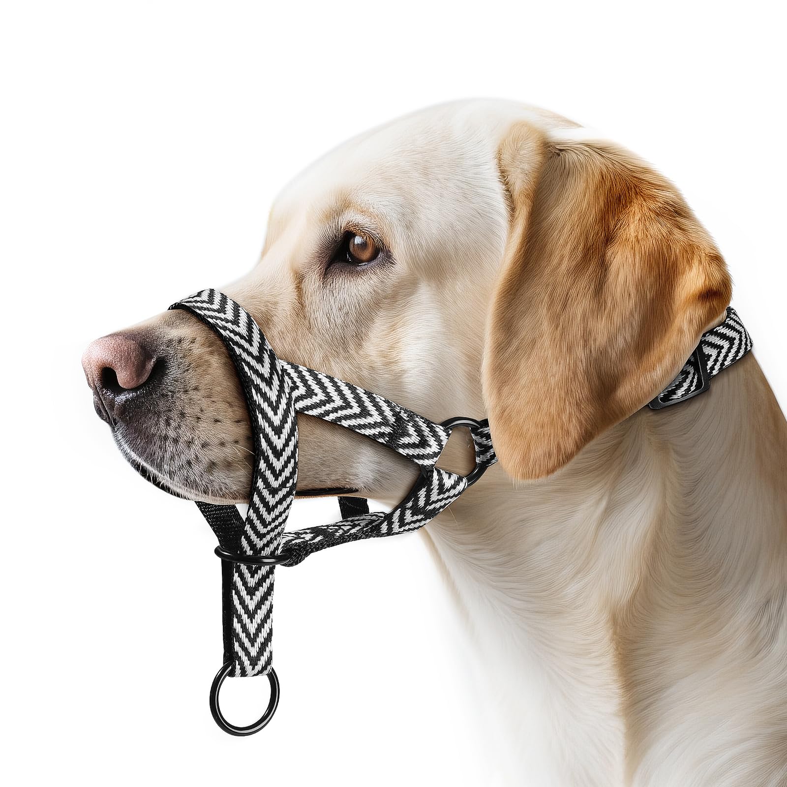 Collare per testa con design a motivo di lettere, Collare per testa per cani in nylon morbido, Fit confortevole per cani piccoli, medi e grandi, Aggiustabile, Contro il Tiraggio(M, Vstile Nero)