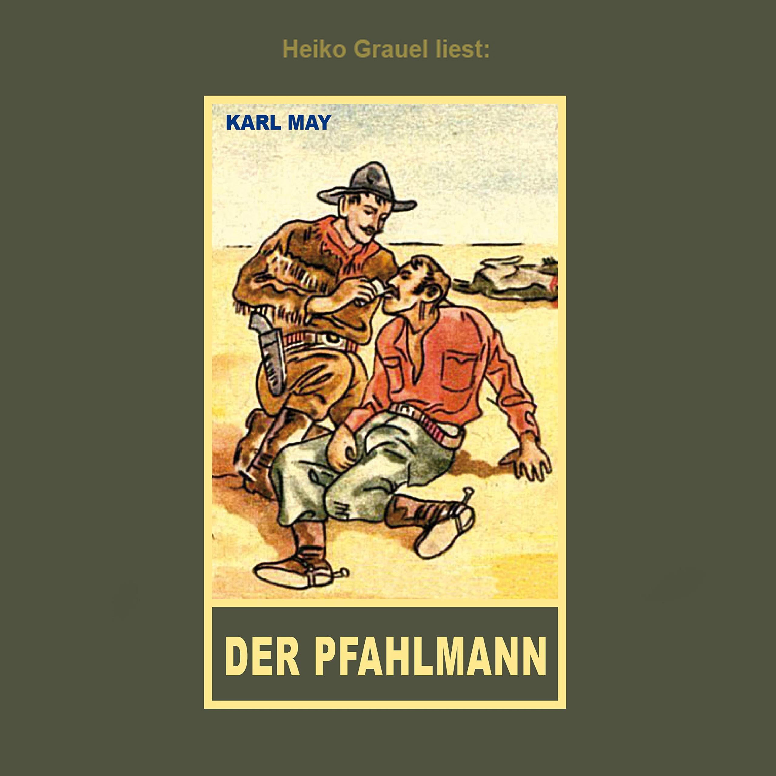 Cover art for Der Pfahlmann