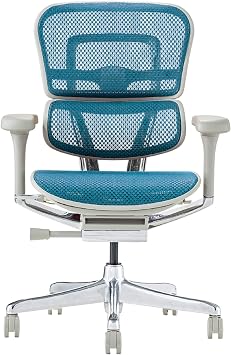 Ergohuman 2 445424 Office Chair with No Headrests, Elevating Type, Memory Locking Function, Elastomeric Mesh, PU Caster Pro, Low Type, Frame Gray, Mesh Blue, Seki Furniture