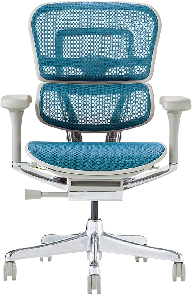 Amazon.co.jp: エルゴヒューマン2(Ergohuman2) オフィスチェア