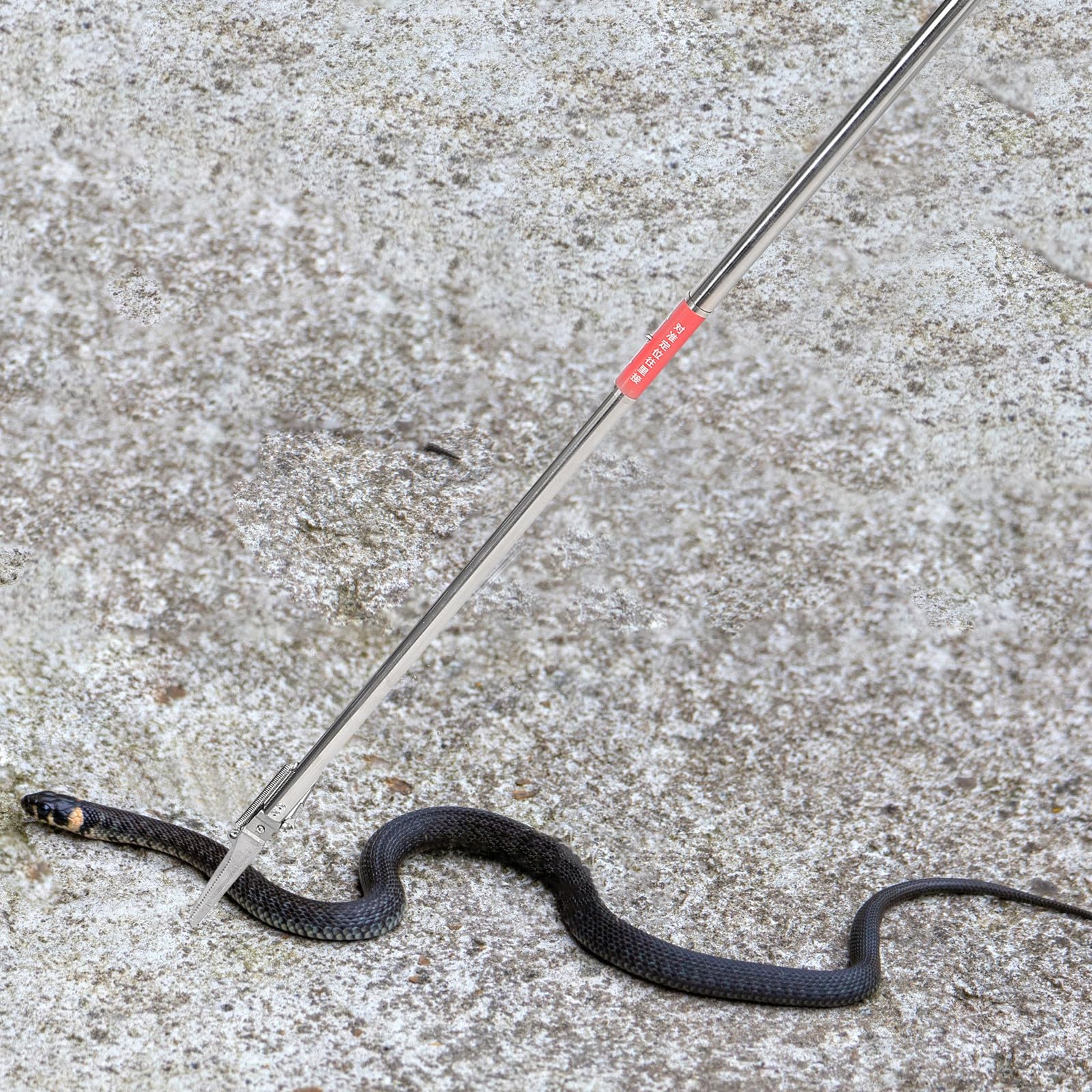 LALAFINA Pinze per Acchiappa-Serpenti in Acciaio Inossidabile 48 Pollici Funzione Pieghevole e Design Antiscivolo per Uso in Zoo da Giardino e Ambienti Esterni