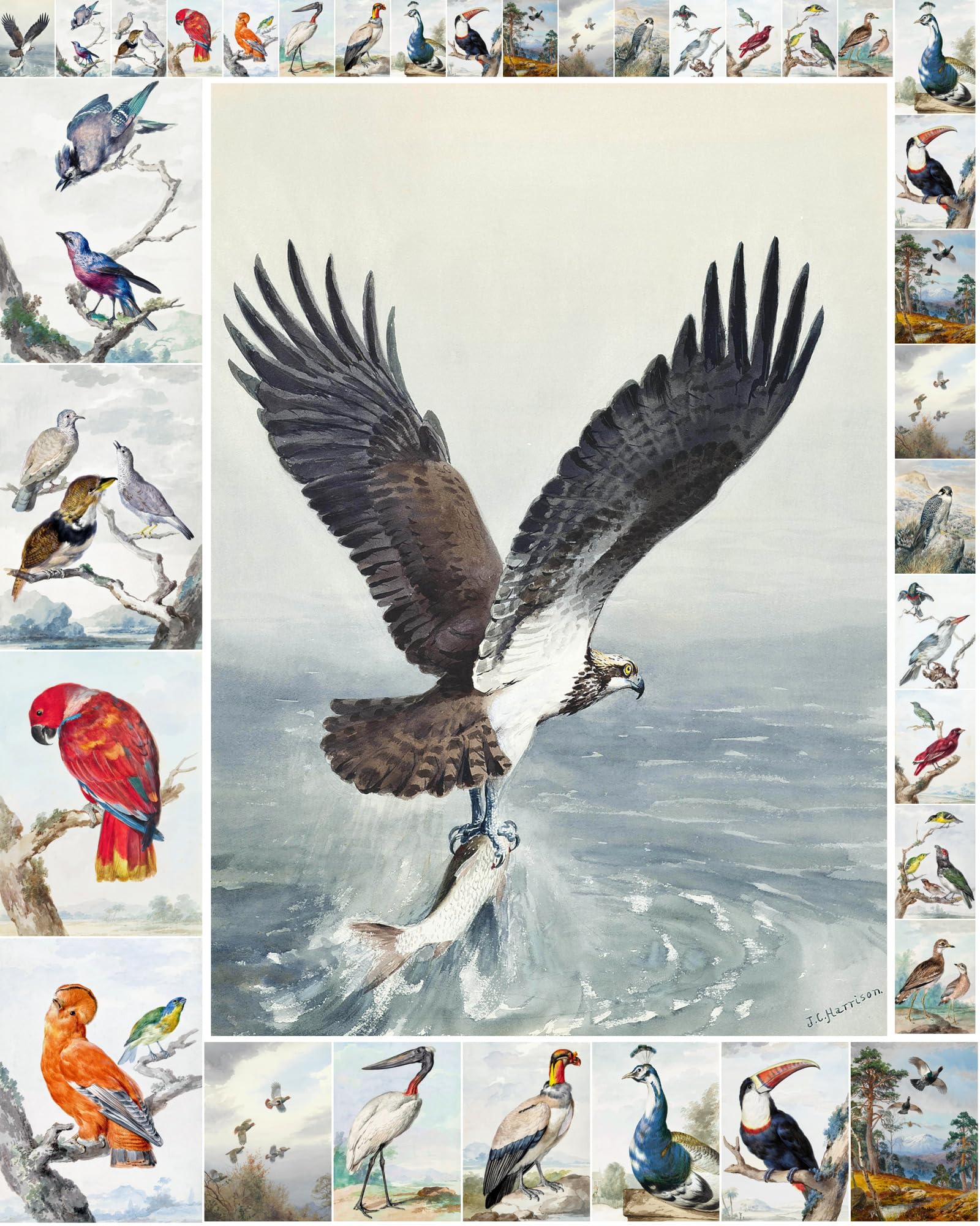 Papier pour découpage oiseaux rétro pour embellir vos albums de scrapbooking faits main