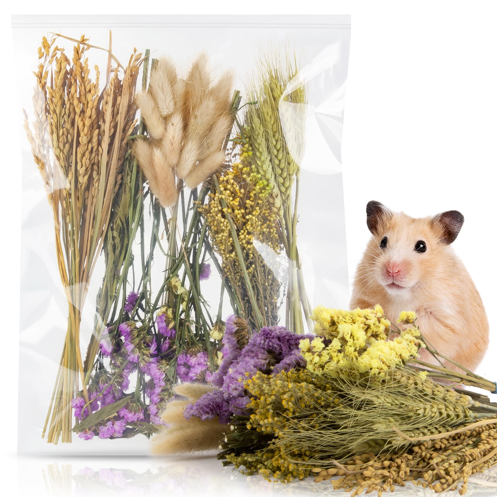 Sukh Habitat Decor
