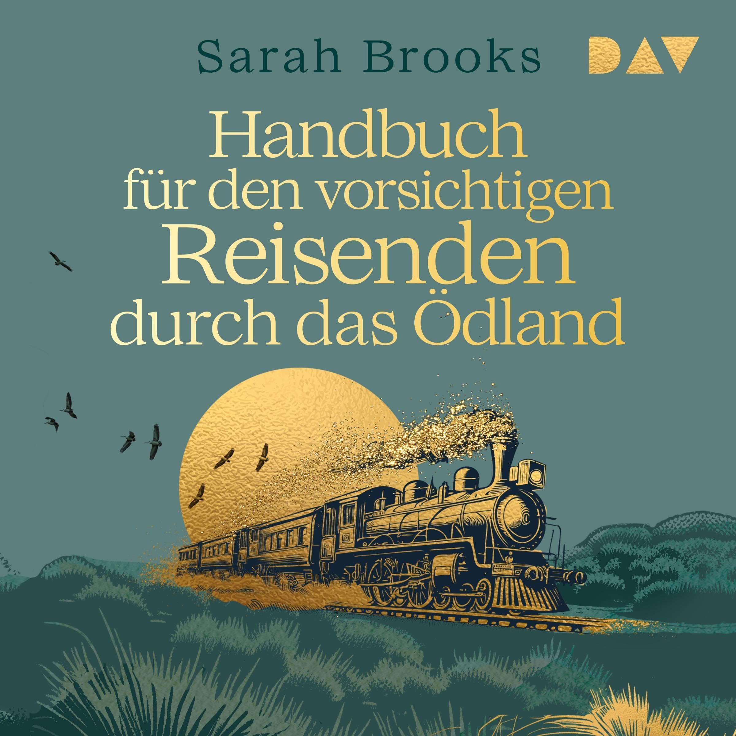Cover art for Handbuch für den vorsichtigen Reisenden durch das Ödland