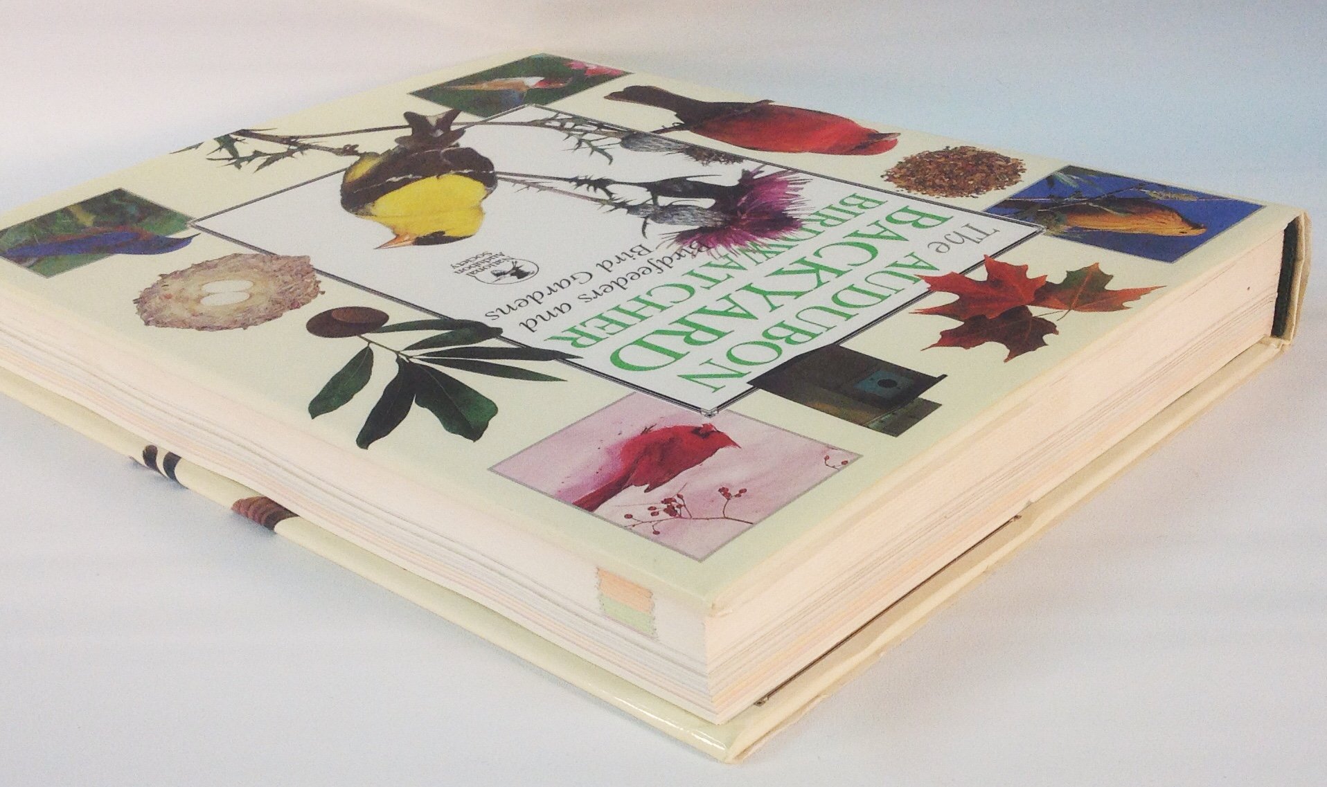 The Audubon Backyard Birdwatcher: Birdfeeders and Bird Gardens - Image 3