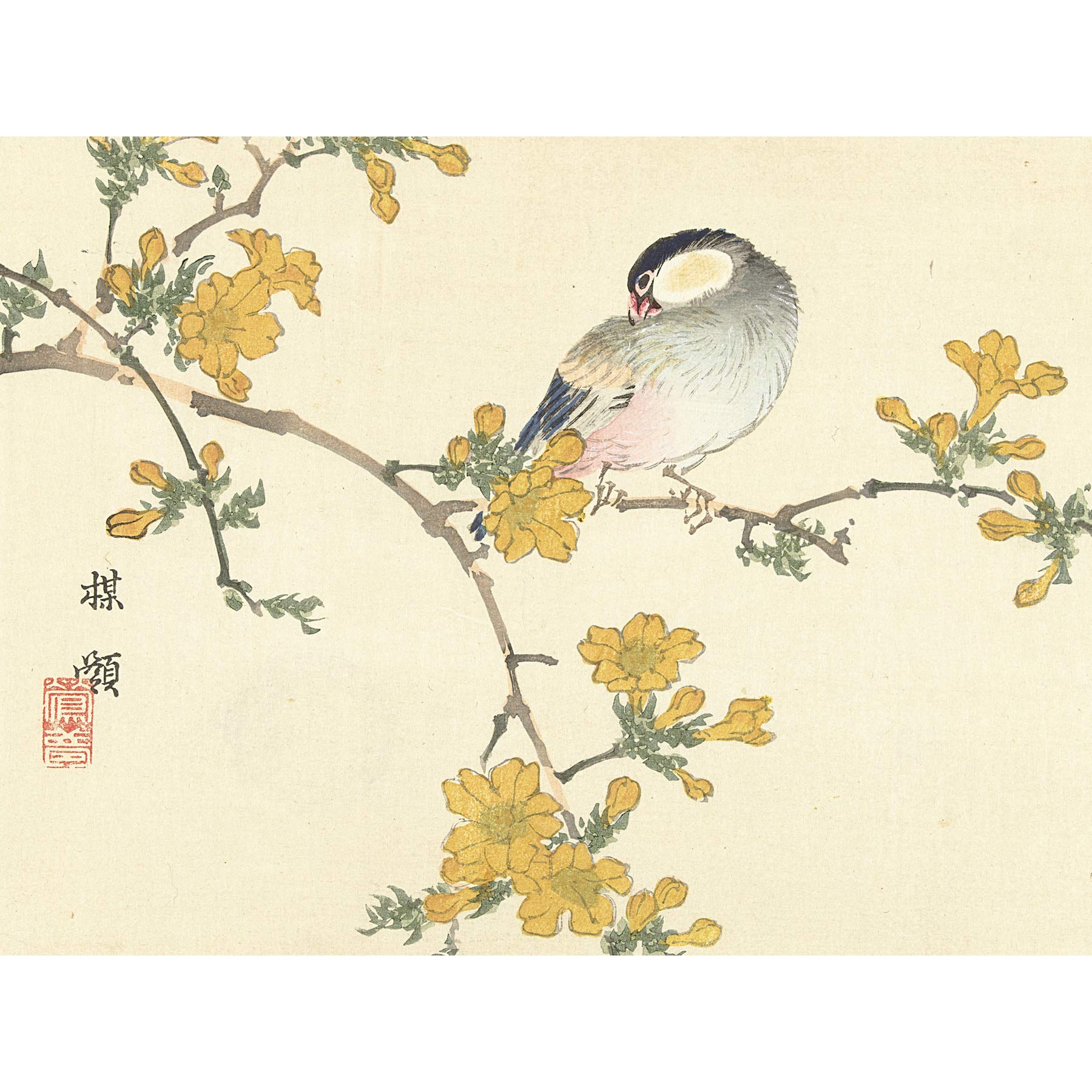 Artery8 Kono Bairei Songbird on Flowering Branch Premium Wall Art Canvas Print 18X24 Inch