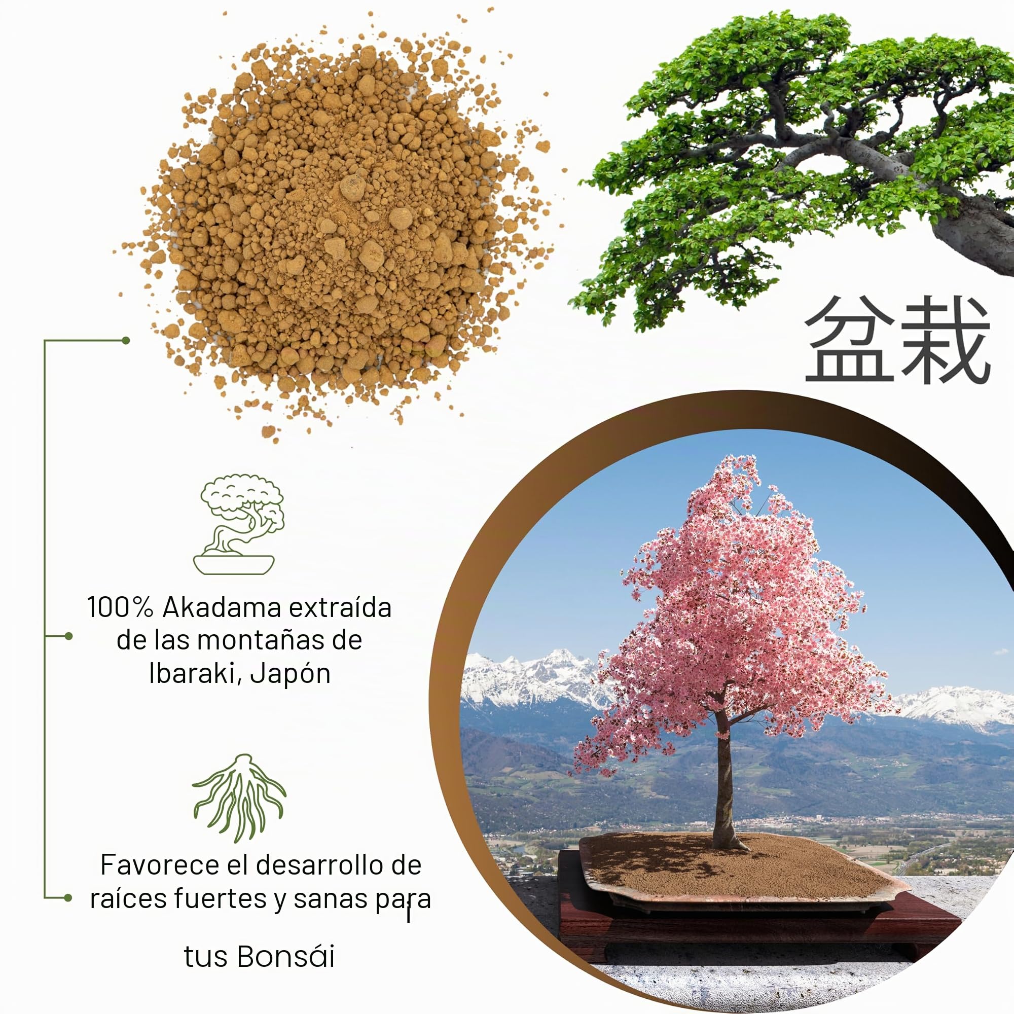 GebEarth - Akadama japonés profesional para bonsai 2-5 mm de 1 l. Equilibrio perfecto de agua, aire y minerales