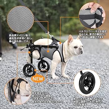 犬用補助輪 SMサイズ 26cm以内 犬用補助輪 SMサイズ 26cm以内 Amazon.co.jp: BECEMURU 犬用