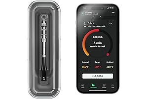 Chef iQ Smart Smoker Probe Thermometer