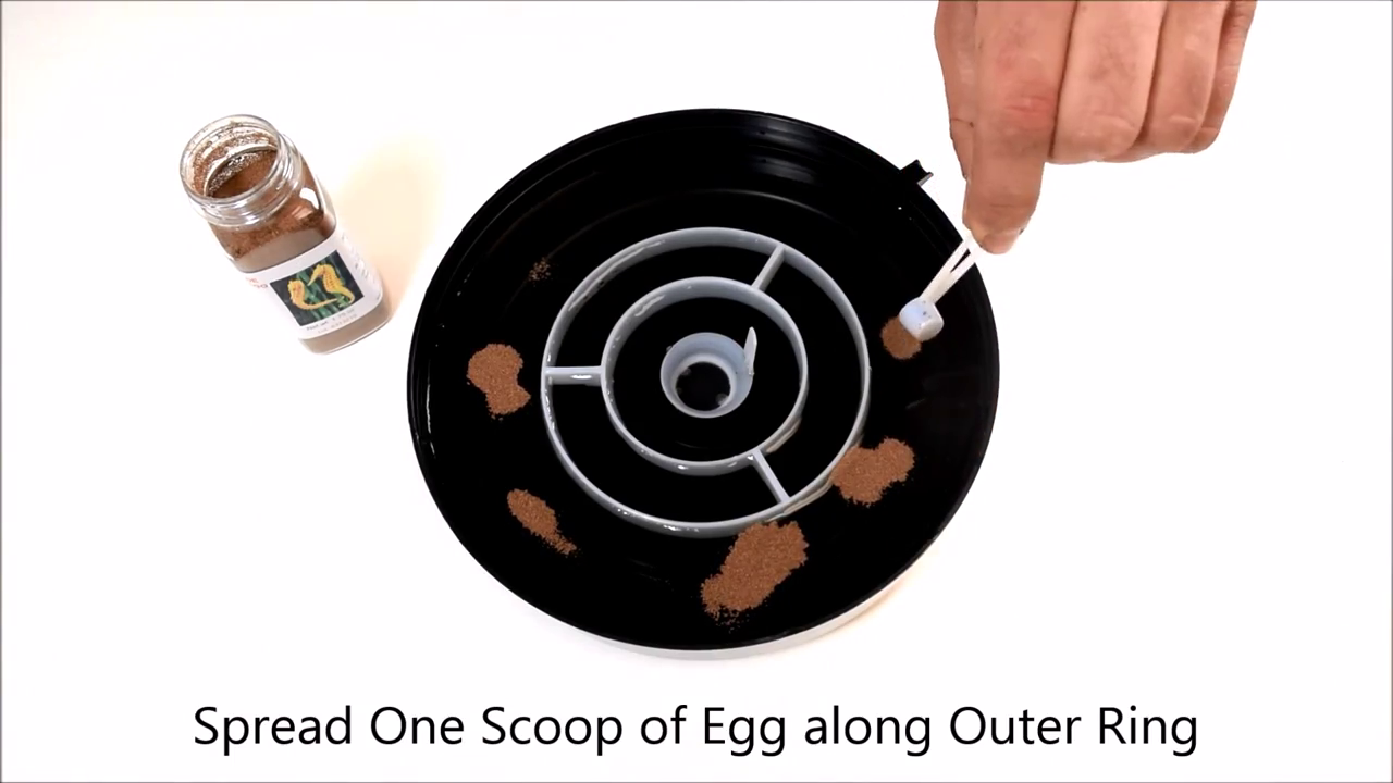 Amazon.com: Brine Shrimp Hatchery Dish (Eggs sold separately