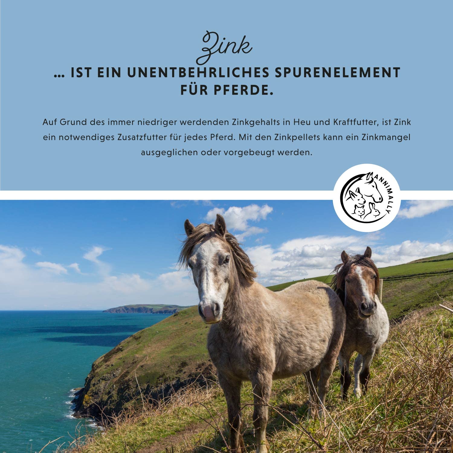 Annimally Zink für Pferde - Zink Pferd hochdosiert Pellets (700g) - Unterstützt beim Fellwechsel Pferd - Mit Schwarzkümmel, Zeolith und Bierhefe für Haut, Haare & Hufe - Spurenelemente Pferd - 3