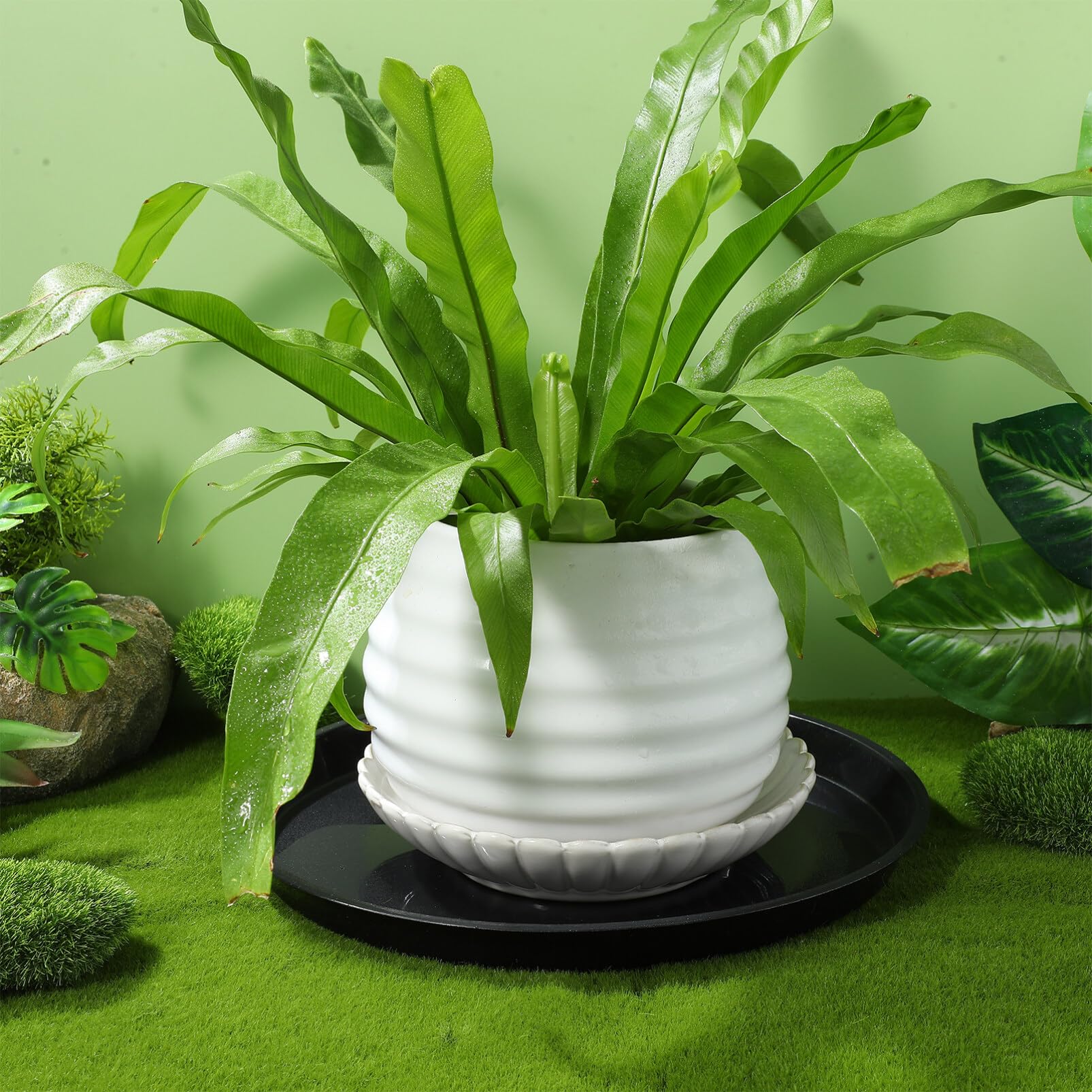 Toddmomy 10piezas Platillos para Plantas Bandejas Redondas Bandejas De Agua Fácil Resistente