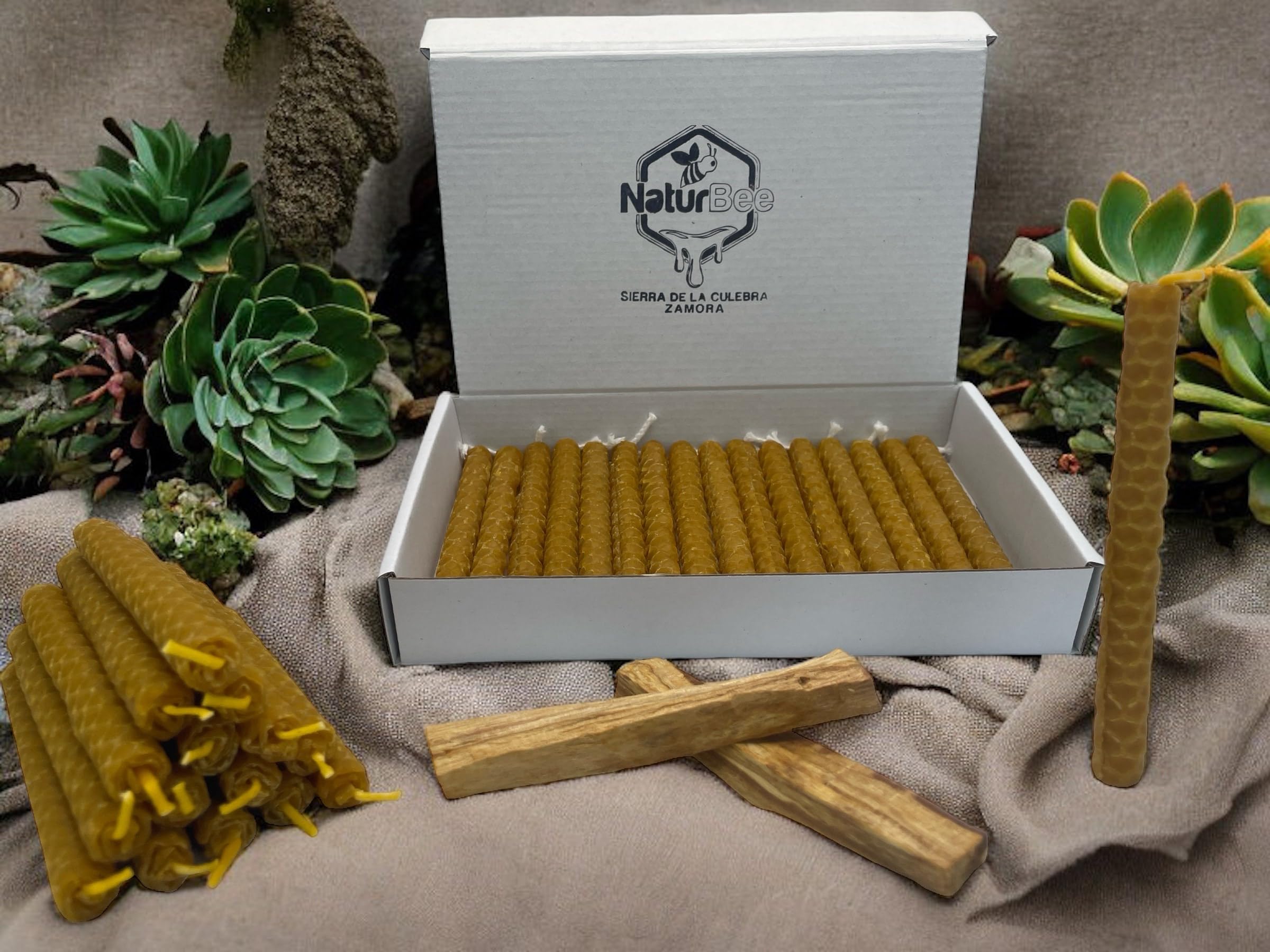Velas de Miel de Abeja con Palo Santo 100% Natural Cera Pura 11,5 cm Hechas a Mano Sin Parafina