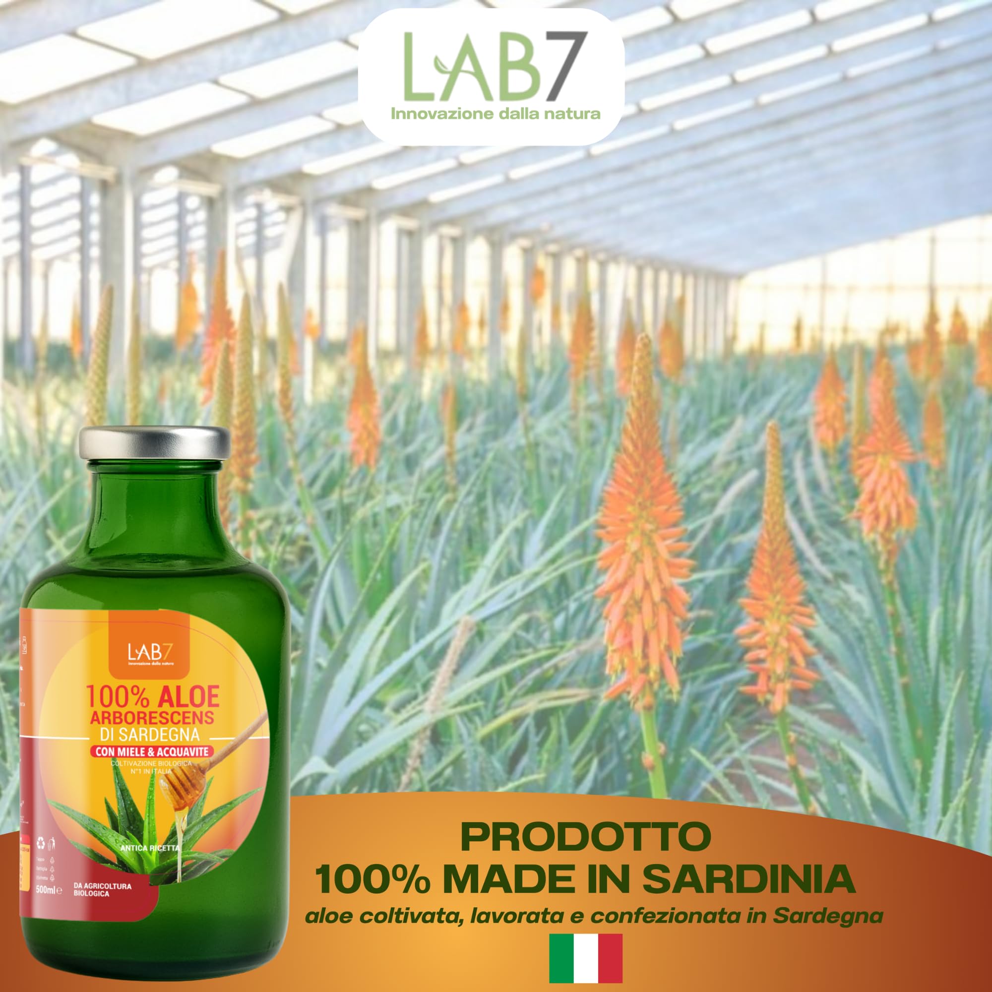 Lab7 Aloe 100% Arborescens di Sardegna Depurativo e Drenante, 500ml