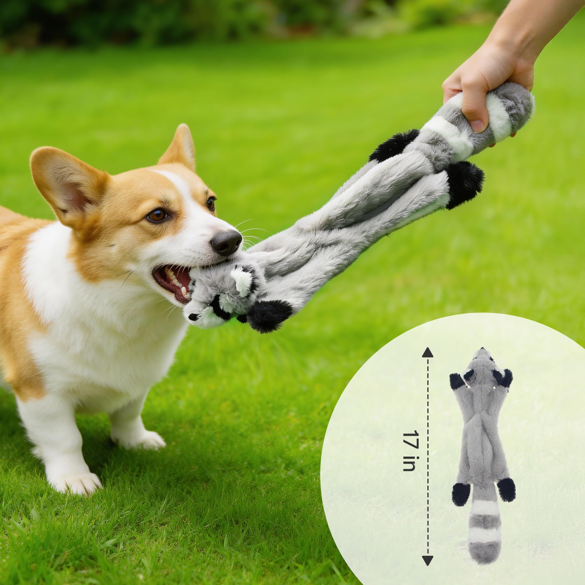 Potaroma Giocattoli per cani senza ripieno - Confezione da 4 (ragone, scoiattolo, puzzola, volpe), peluche realistico in finta pelliccia, 2 Squeakers (testa e coda), lunghezza 45 cm, giocattoli