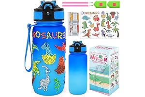 Decorate Your Own Water Bottle Kits for Boys: Unleash their Creativity with DIY Dinosaur Crafts