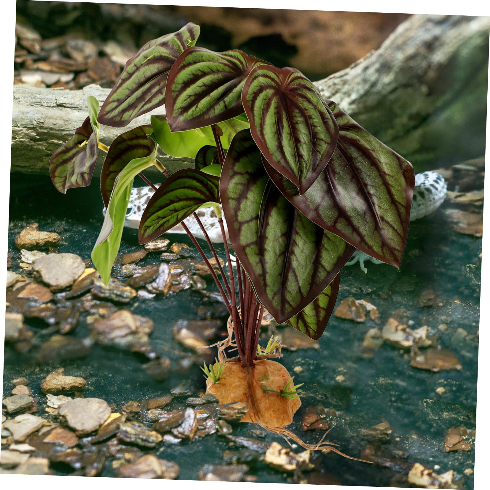 Happyyami Reptile Tank Plant Aquarium Landscaping Ornament Fake Plants Decor for Reptiles