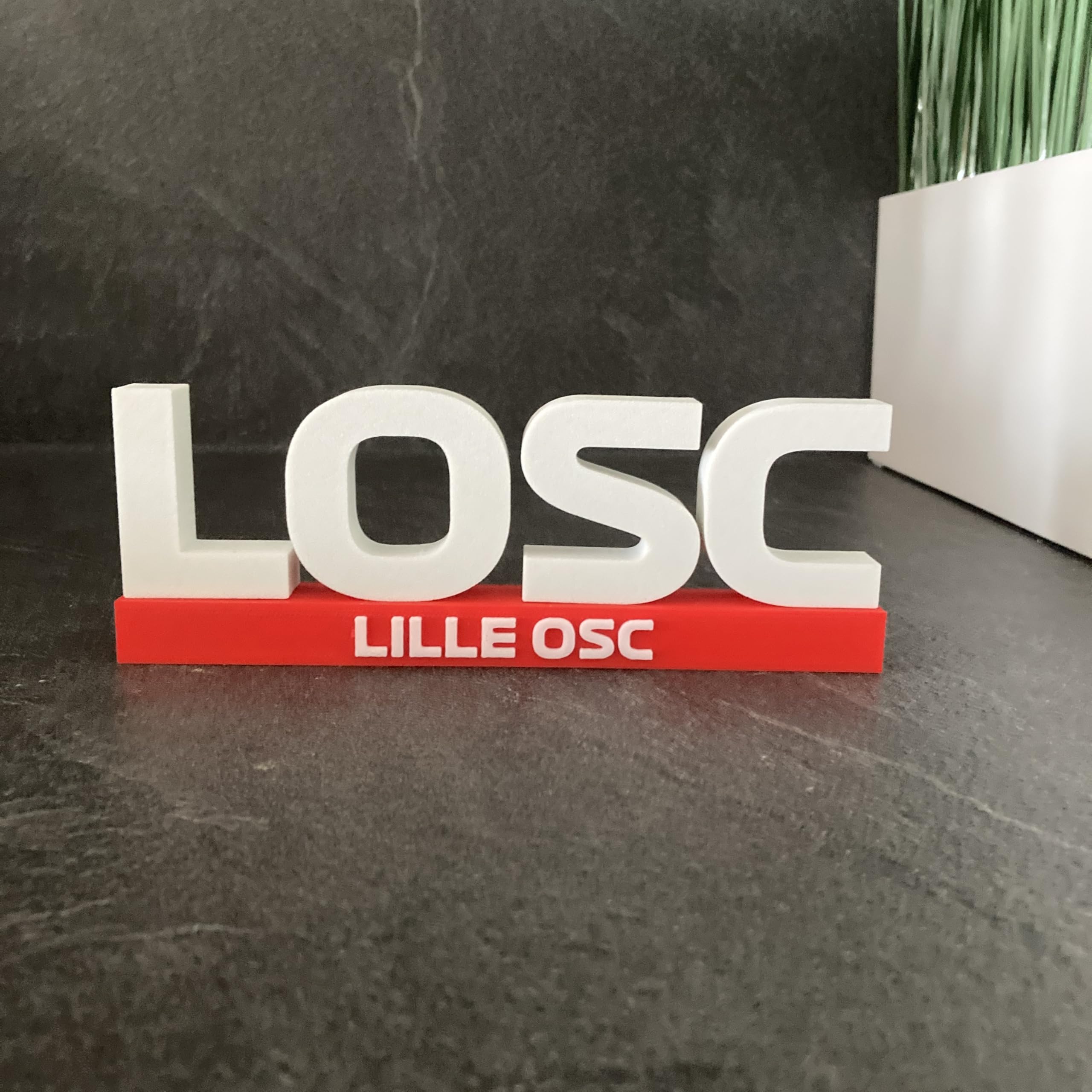Logo décoratif Foot LOSC Lille