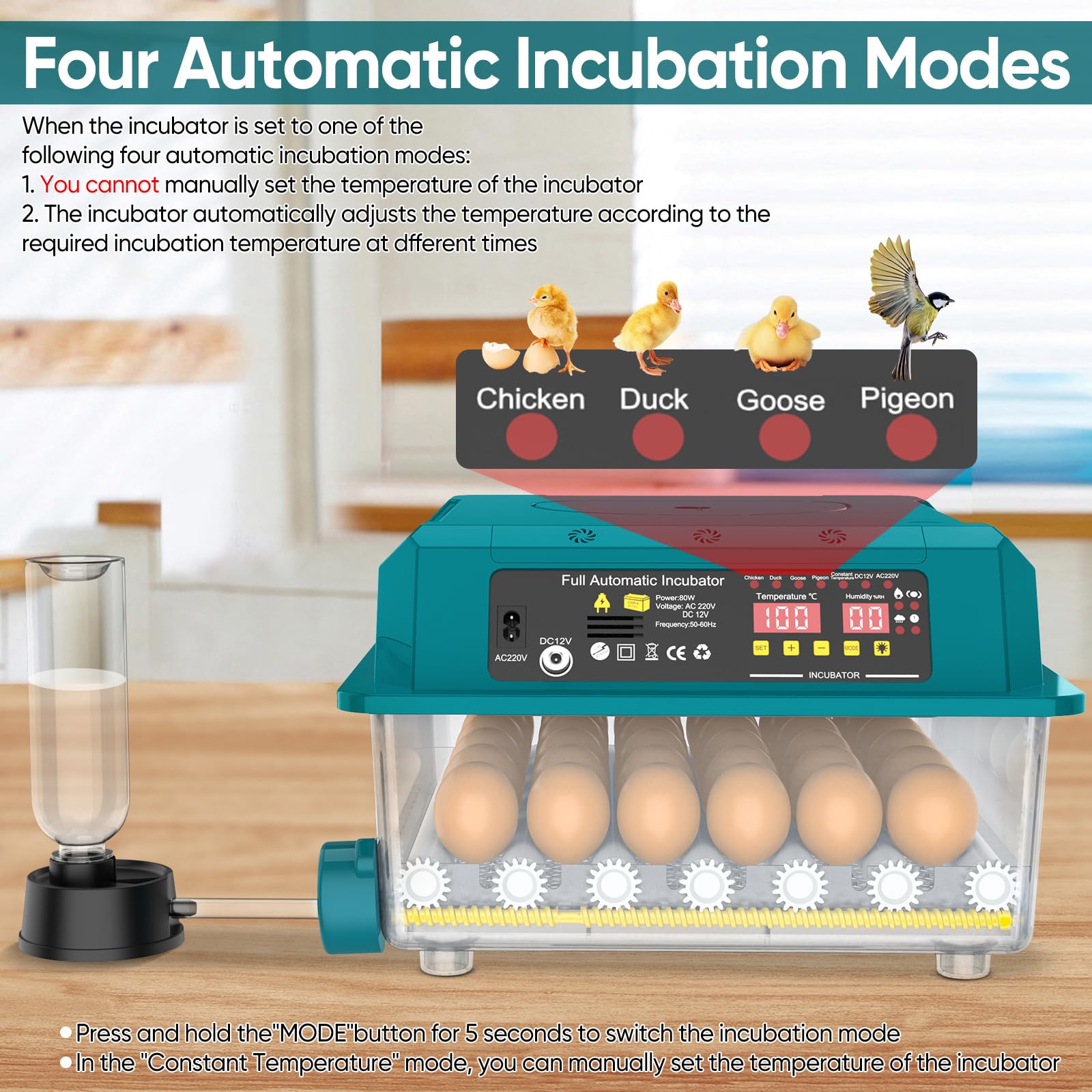Incubadora automática de huevos de 36 huevos,Incubadora automática de huevos con volteo automático de huevos, control de temperatura y humedad, incubadoras para Eclosión de Pollo, Cana (36 huevos)