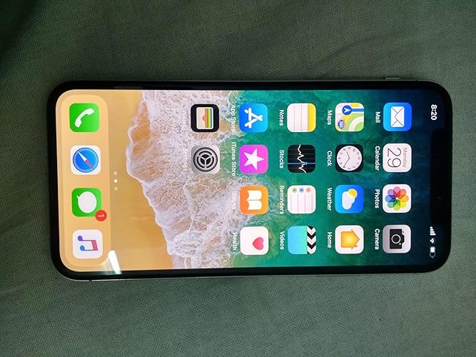 Apple iPhone X