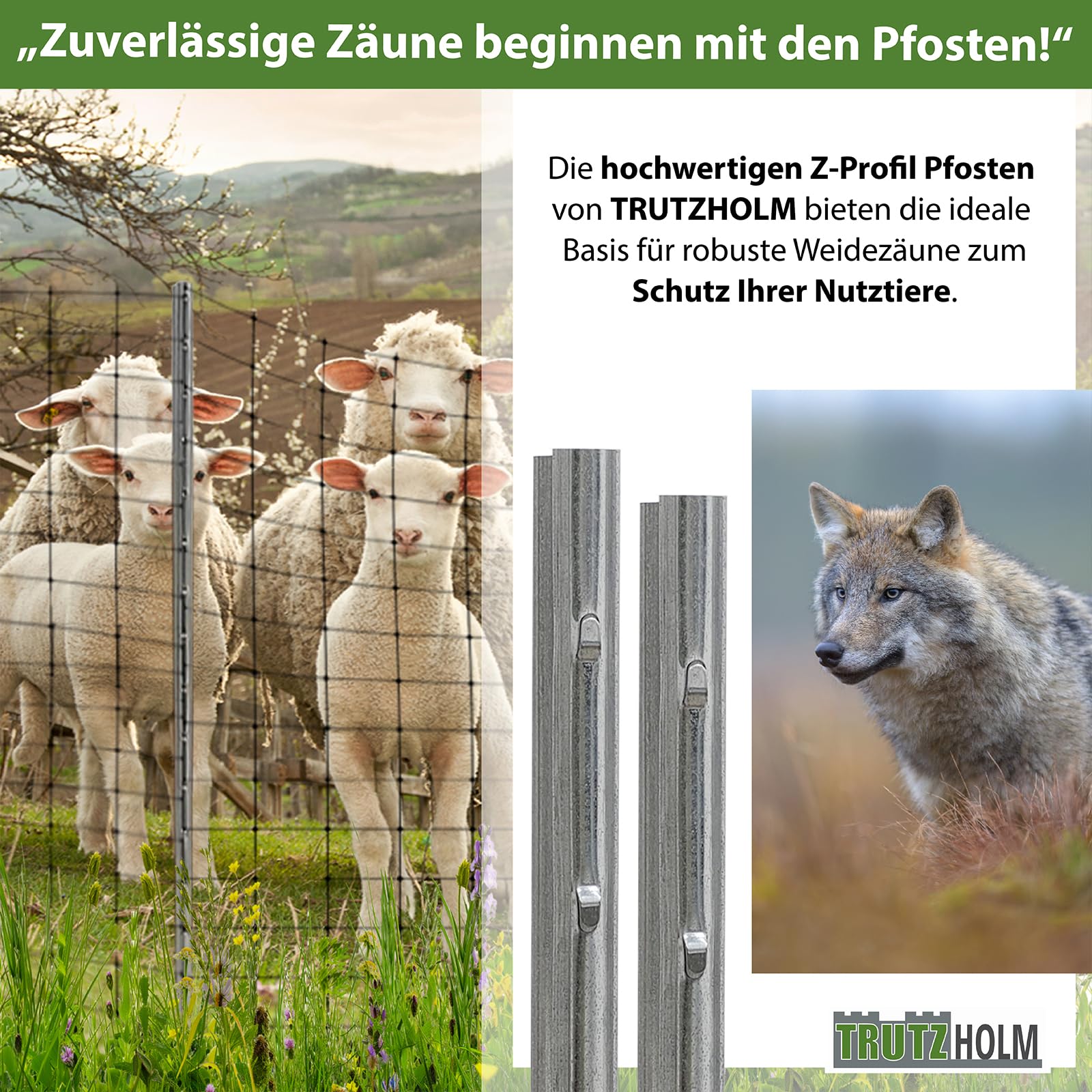 TRUTZHOLM 10x Z-Profil Zaunpfosten 150 cm feuerverzinkt Zaunpfähle 1,5 mm Stärke gestanzte Haken Forstprofil