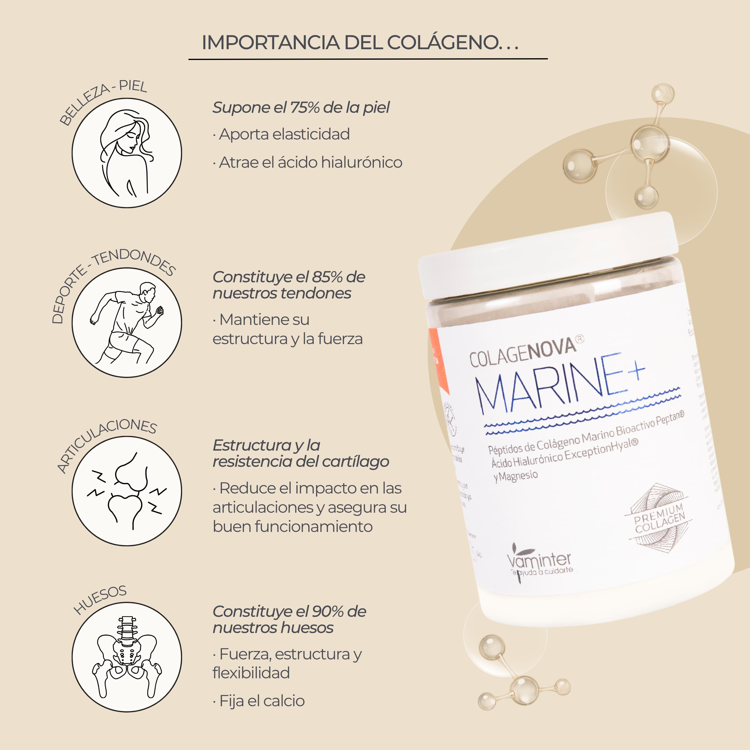 Colágeno Marino con Ácido Hialurónico Magnesio | Huesos y Músculos | Polvo