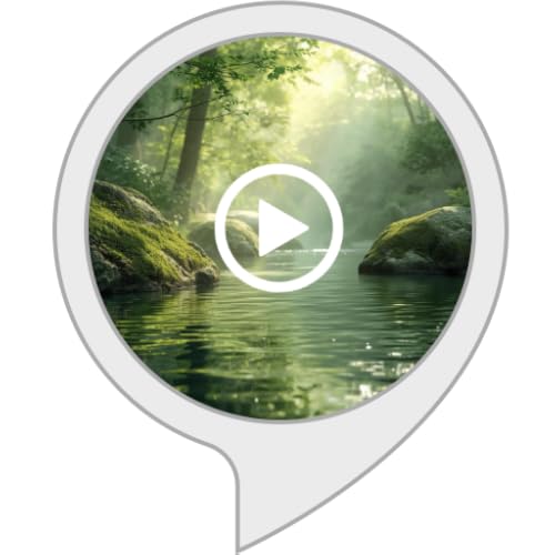 Meditation Noise