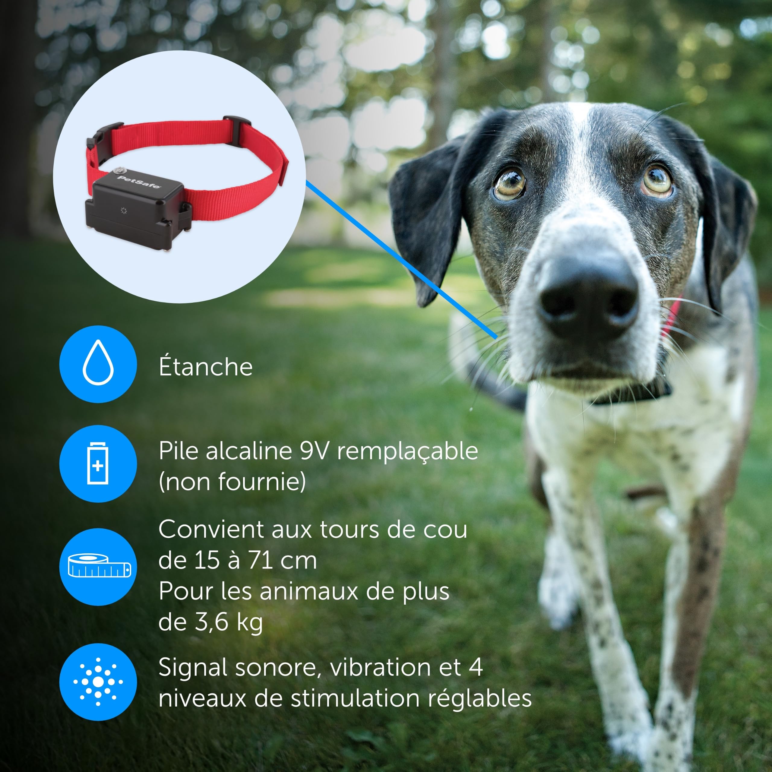 PetSafe - Collier Récepteur pour Clôture Souterraine pour Chiens Têtus Étanche & À Piles, Collier Entraînement Invisible Réglable - pour Chiens De Plus De 6 Mois Pesant 3,6 Kg Et Plus