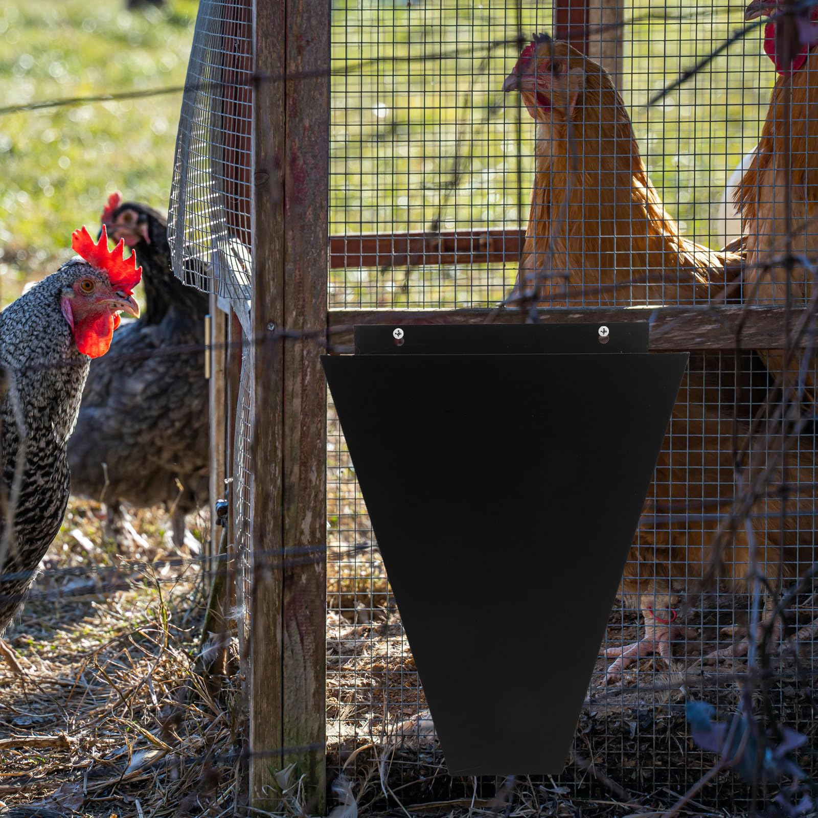 ORFOFE Cono per Macellazione Pollame in Acciaio Inossidabile Nero per Grandi Polli e Piccoli Galli, Versatile e Facile da Installare la Lavorazione del Pollo