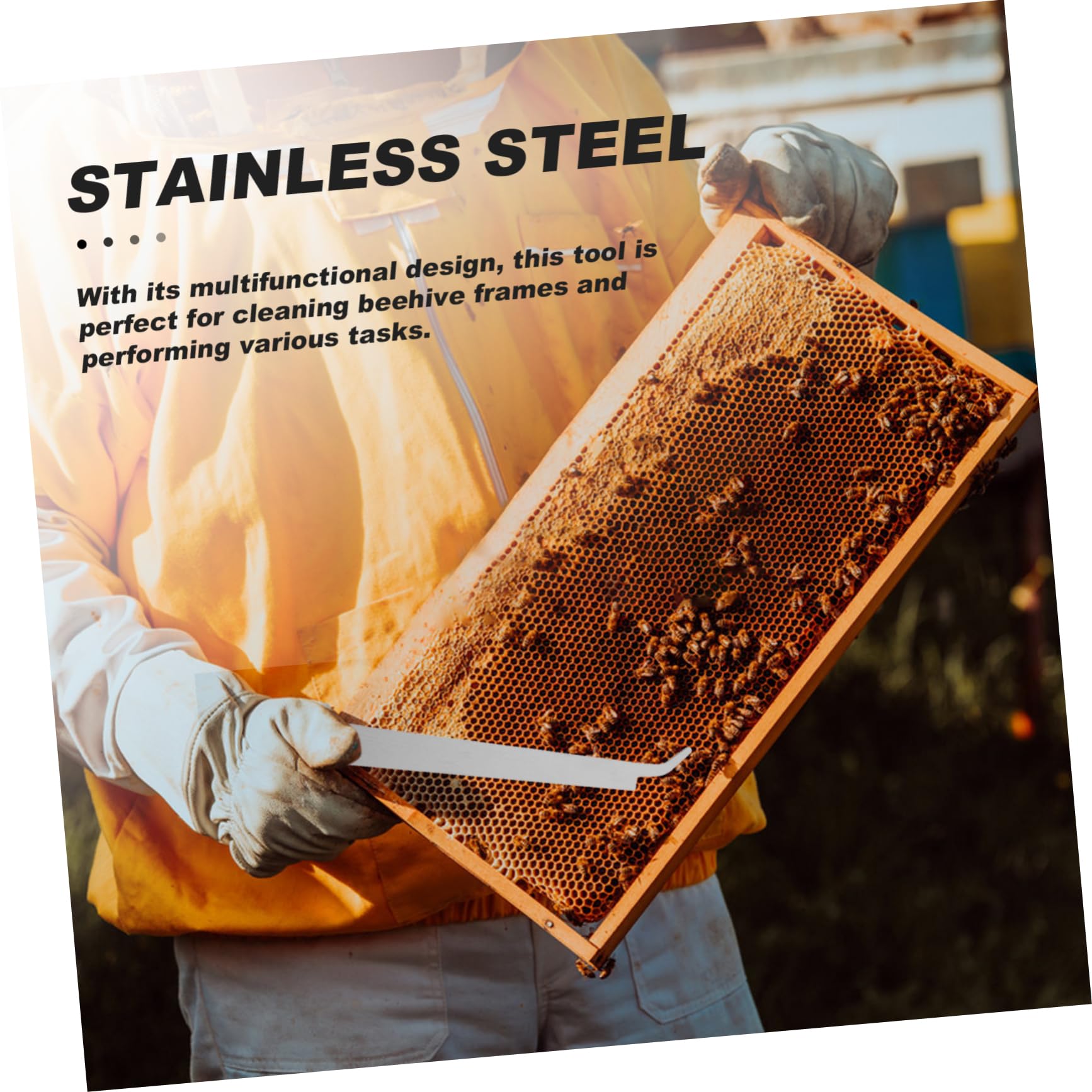 Didiseaon 5 Pezzi Di Strumenti Per L'Apicoltura Raschietto Per Apicoltore Raschietto Per Alimentatore Detergente Per Finestre Sicurezza Forniture Per L'Apicoltura Strumento