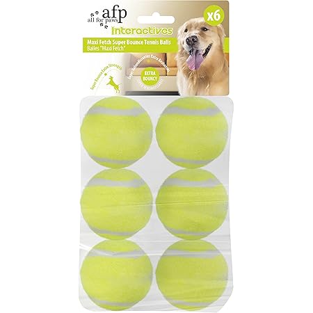 all for paws hyper fetch maxi