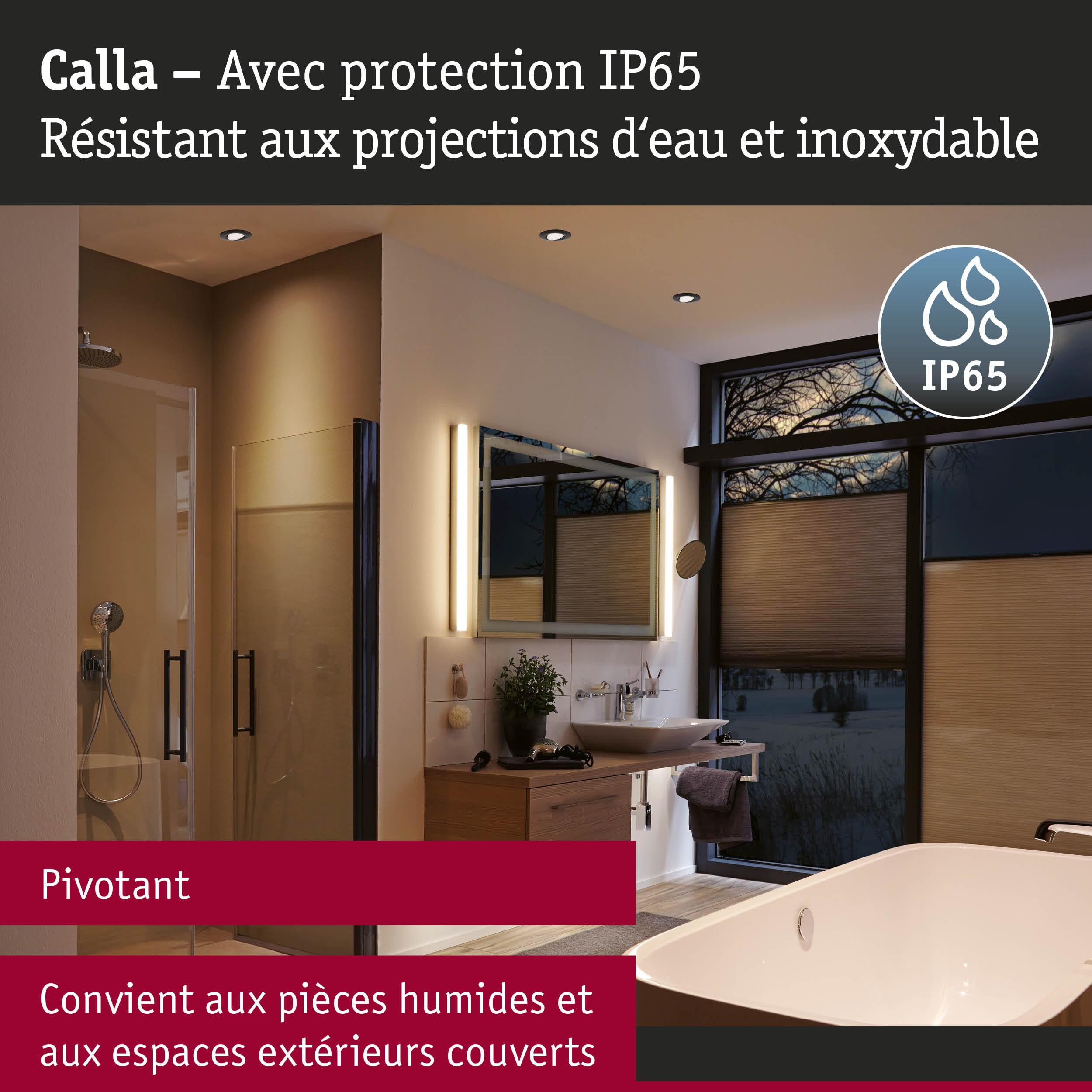 Paulmann 92462 spots encastrés LED Calla rond kit de 10 10x6W IP65 blanc neutre proj. encastré Noir mat orientable Spots plast. lampe encastrée 4000K
