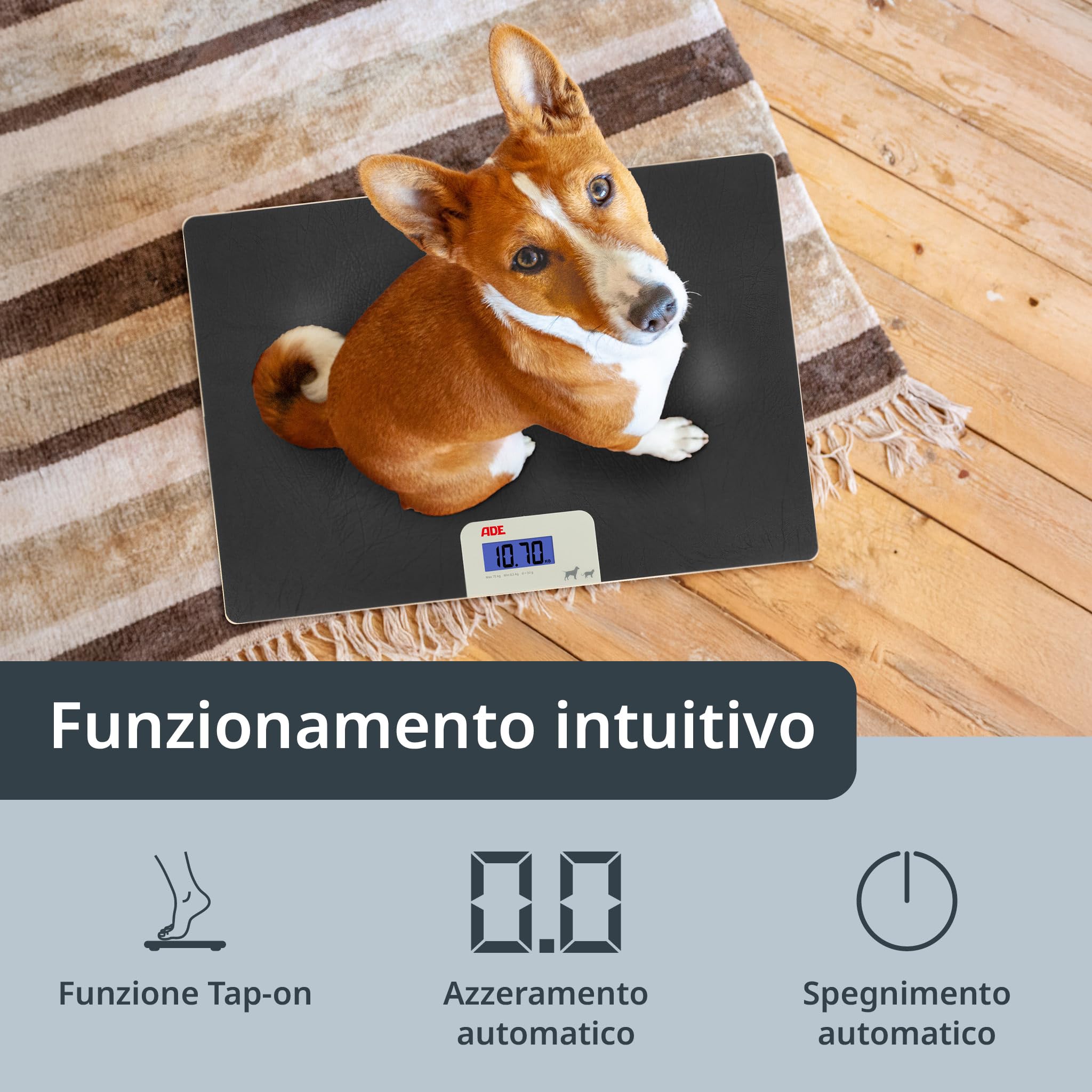 ADE Bilancia digitale per animali fino a 75 kg, bilancia per cani con gradini da 50 g, per animali domestici di piccole e medie dimensioni, superficie adatta alle zampe, anche come bilancia per gatti