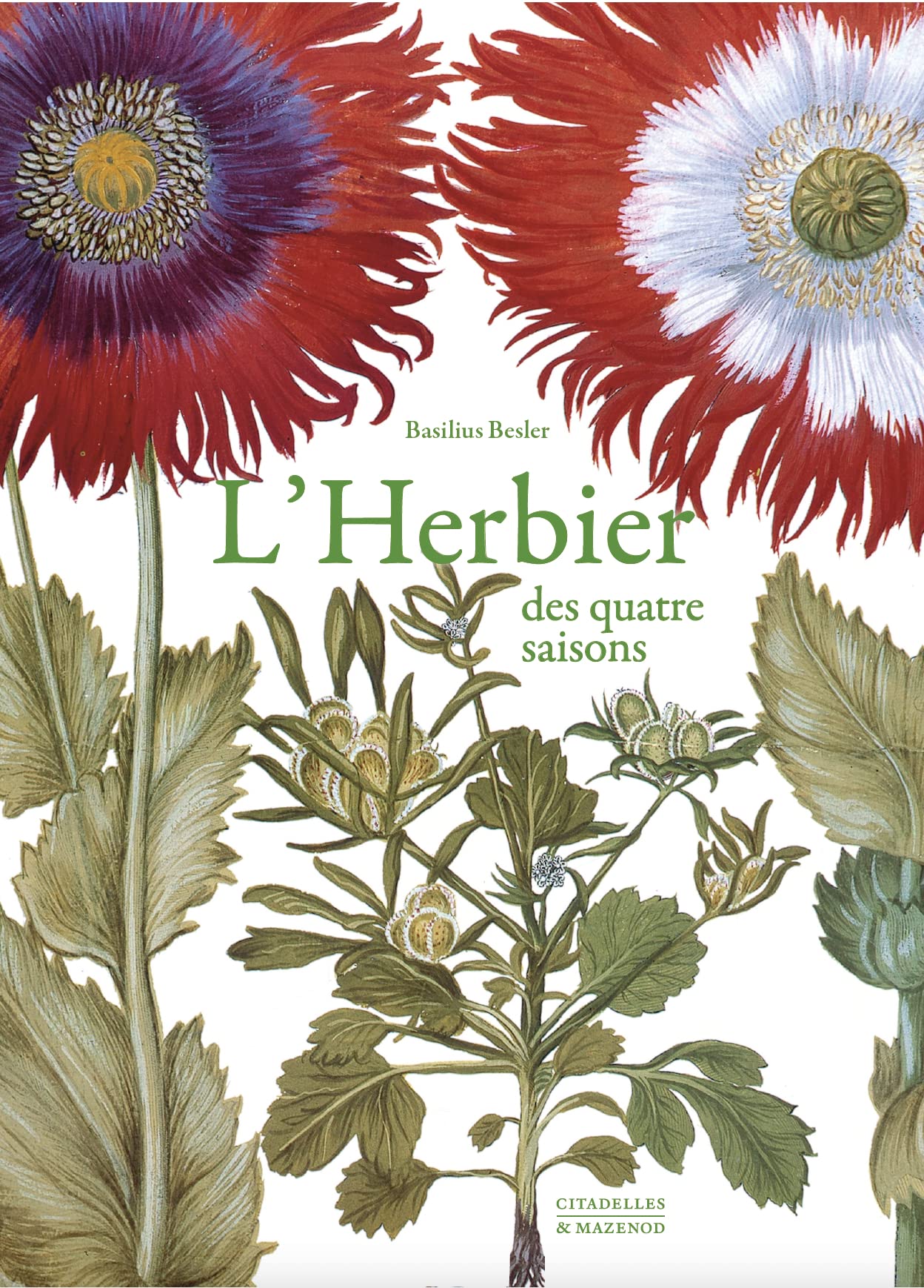 HERBIER DES QUATRE SAISONS MINI REEDITION