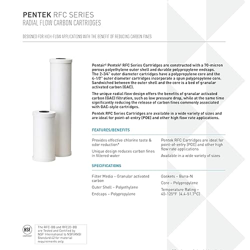 Pentair Pentek RFCBB Big Blue Carbon Water Filter, 10