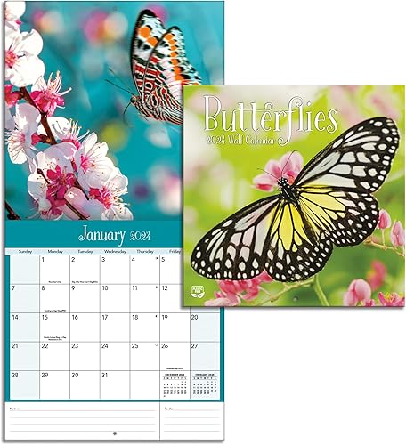 Miniatura 2 de Turner - Mini calendario fotográfico de pared con mariposas (24998950054)