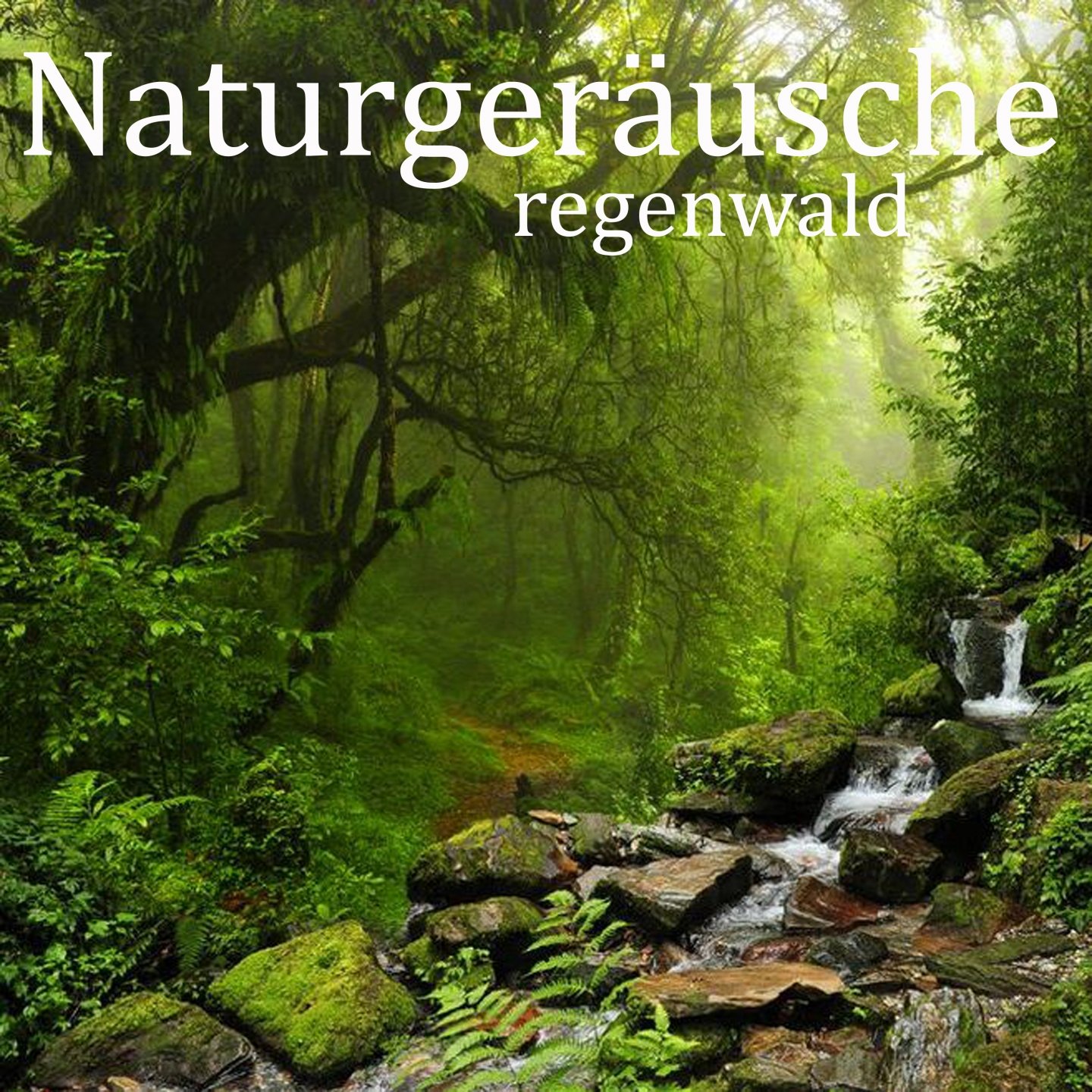 Entspannungsmusik & Das Natur-Orchester von TraxLab