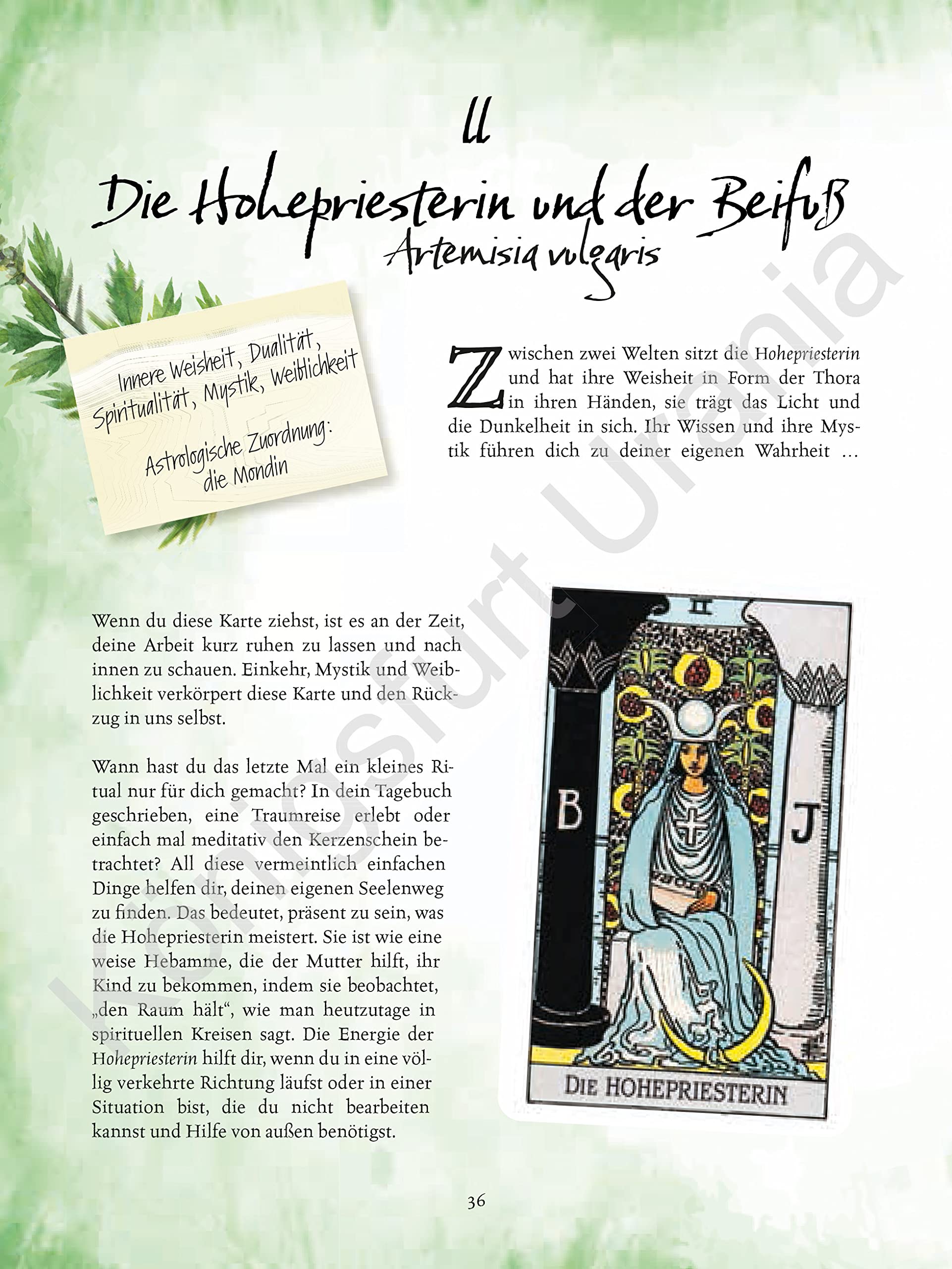 Tarot & Grüne Magie: Werde eine Green Witch mit Tarotkarten (Tarotbuch für moderne, grüne Hexen)
