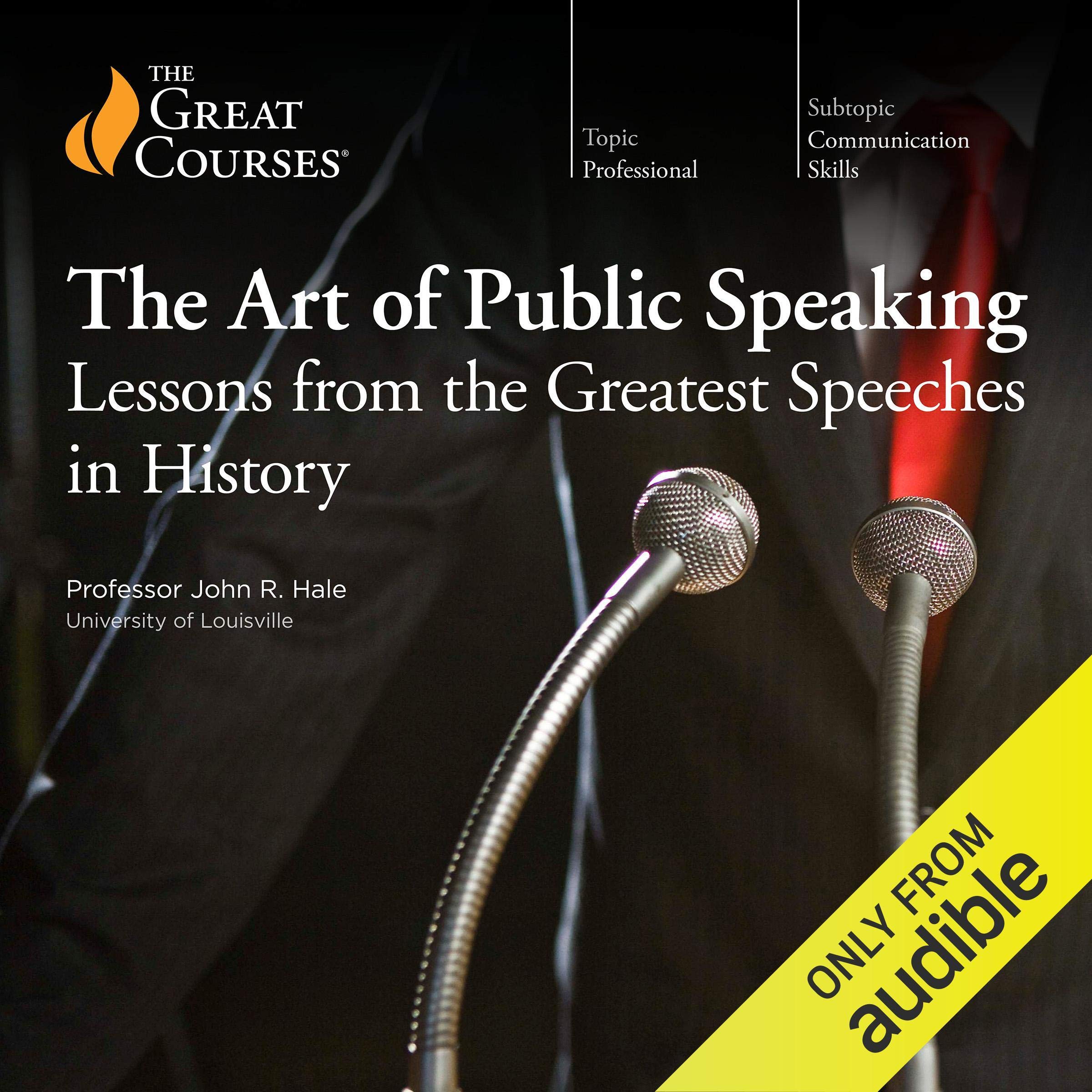 Cover art for The Art of Public Speaking: Lessons from the Greatest Speeches in History